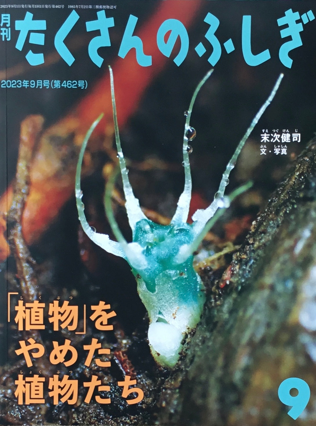 「植物」をやめた植物たち たくさんのふしぎ462号