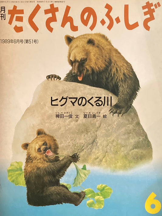 ヒグマのくる川 たくさんのふしぎ51号  1989年6月号