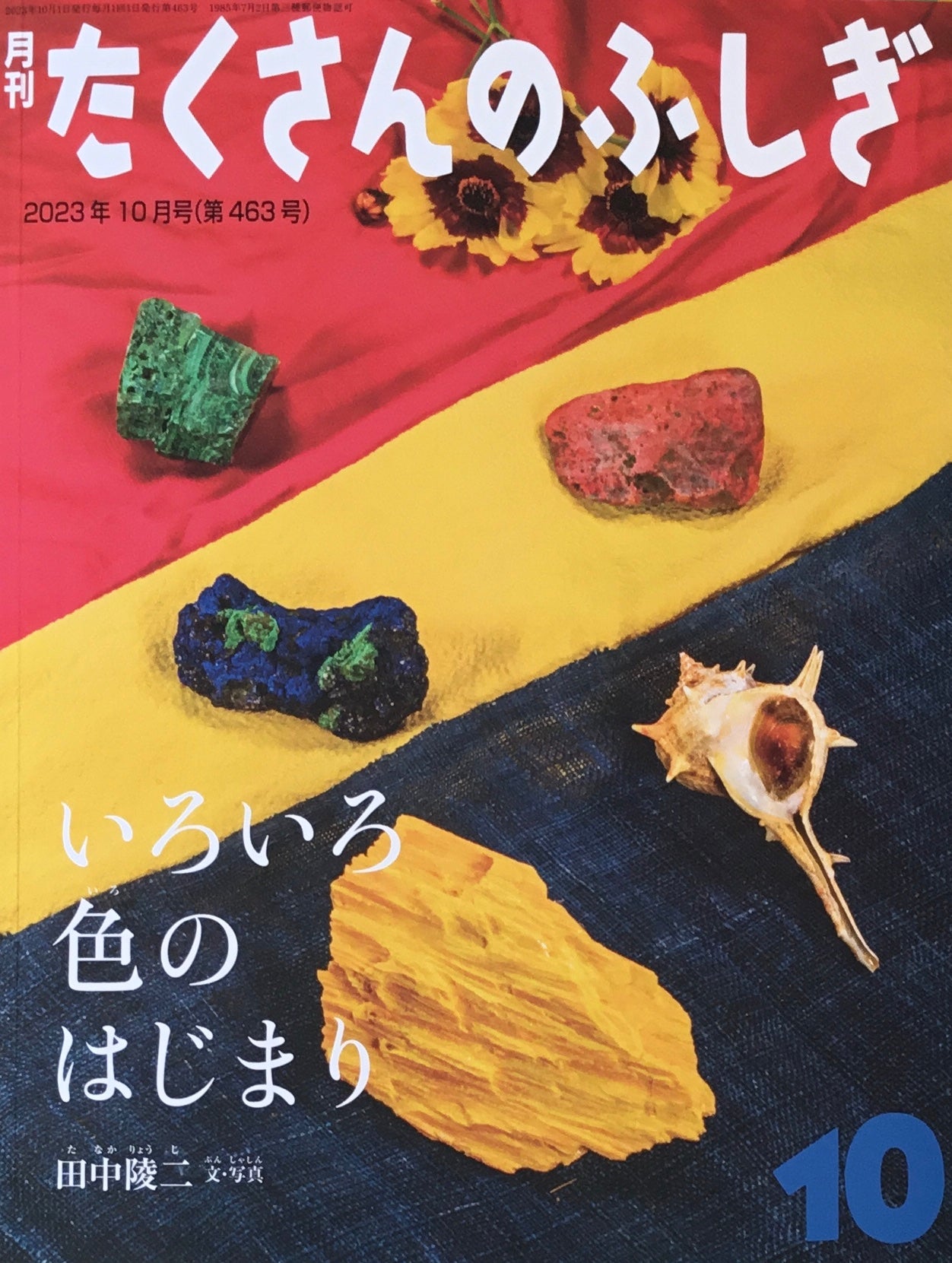 いろいろ色のはじまり たくさんのふしぎ463号