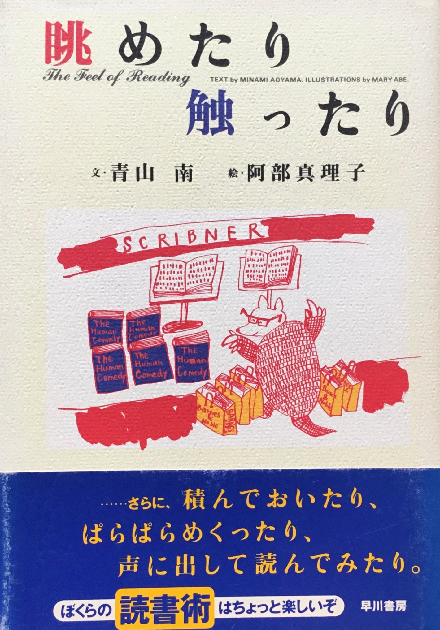 眺めたり触ったり 青山南 阿部真理子