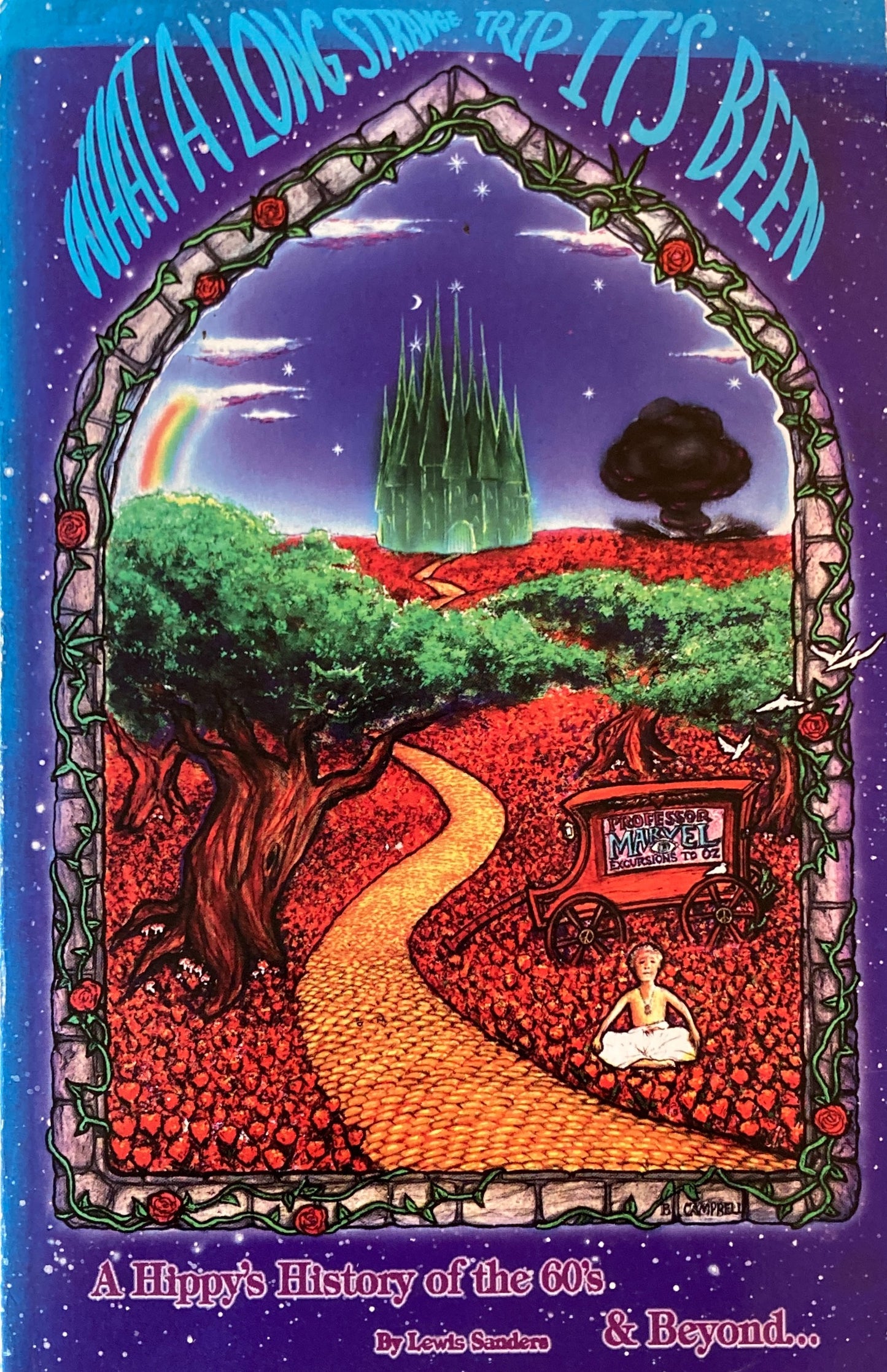 What a long strange trip it's been A hippy's history of the sixties & beyond