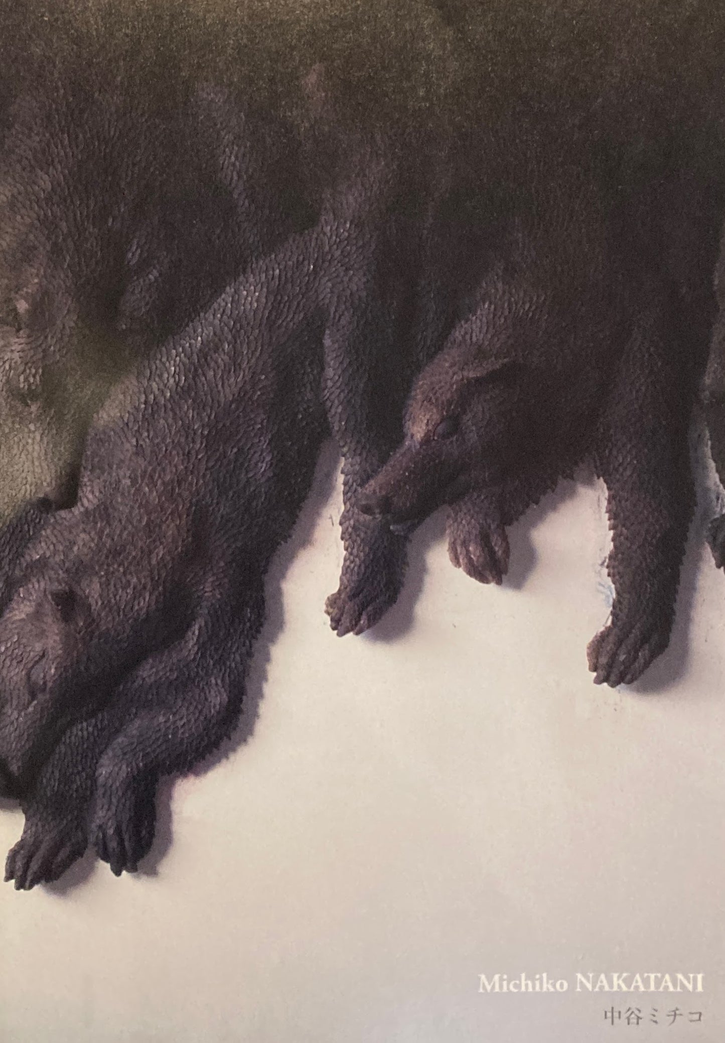 中谷ミチコ 2011 Bank Art