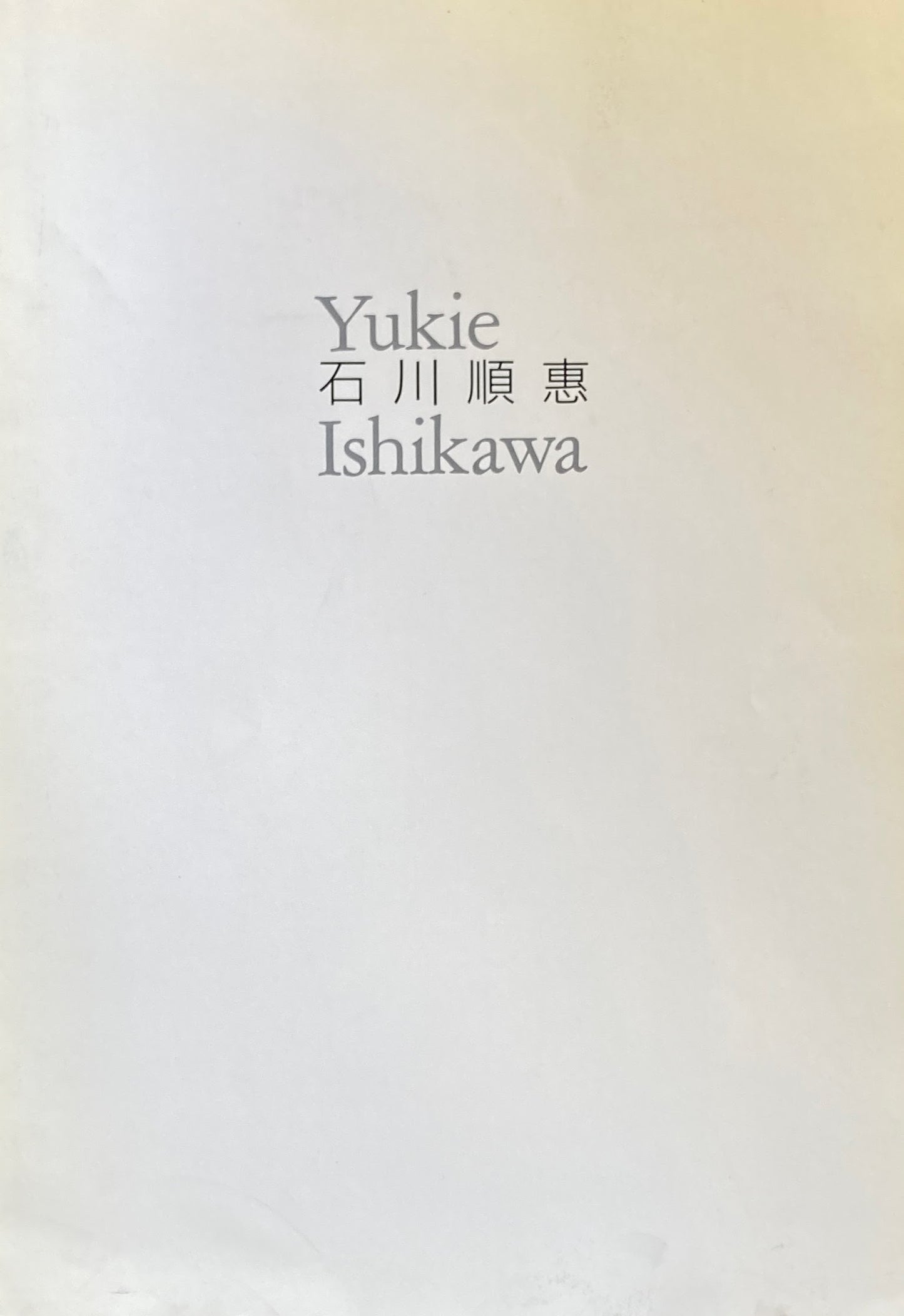 石川順恵展 Ishikawa Yukie 南天子画廊 1996年