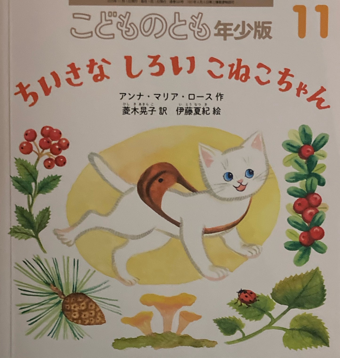 ちいさなしろいこねこちゃん こどものとも年少版584号 2025年11月号