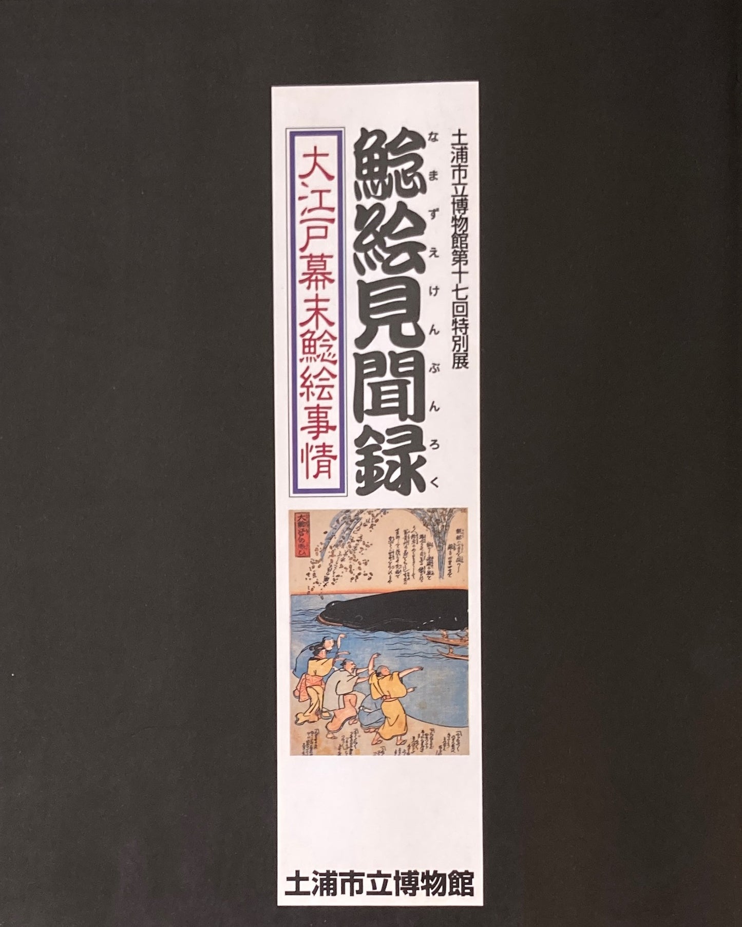 鯰絵見聞録 土浦市博立物館第十七回特別展 大江戸幕末鯰絵事情