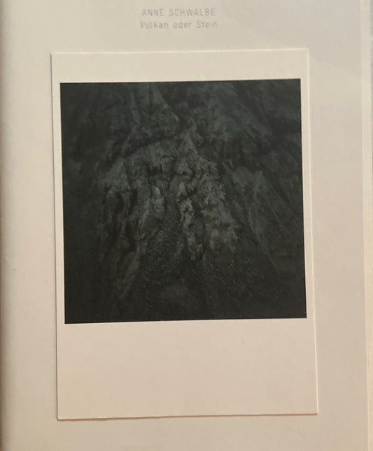ANNE SCHWALBE Vulkan oder Stein 2012 限定1000部 署名入