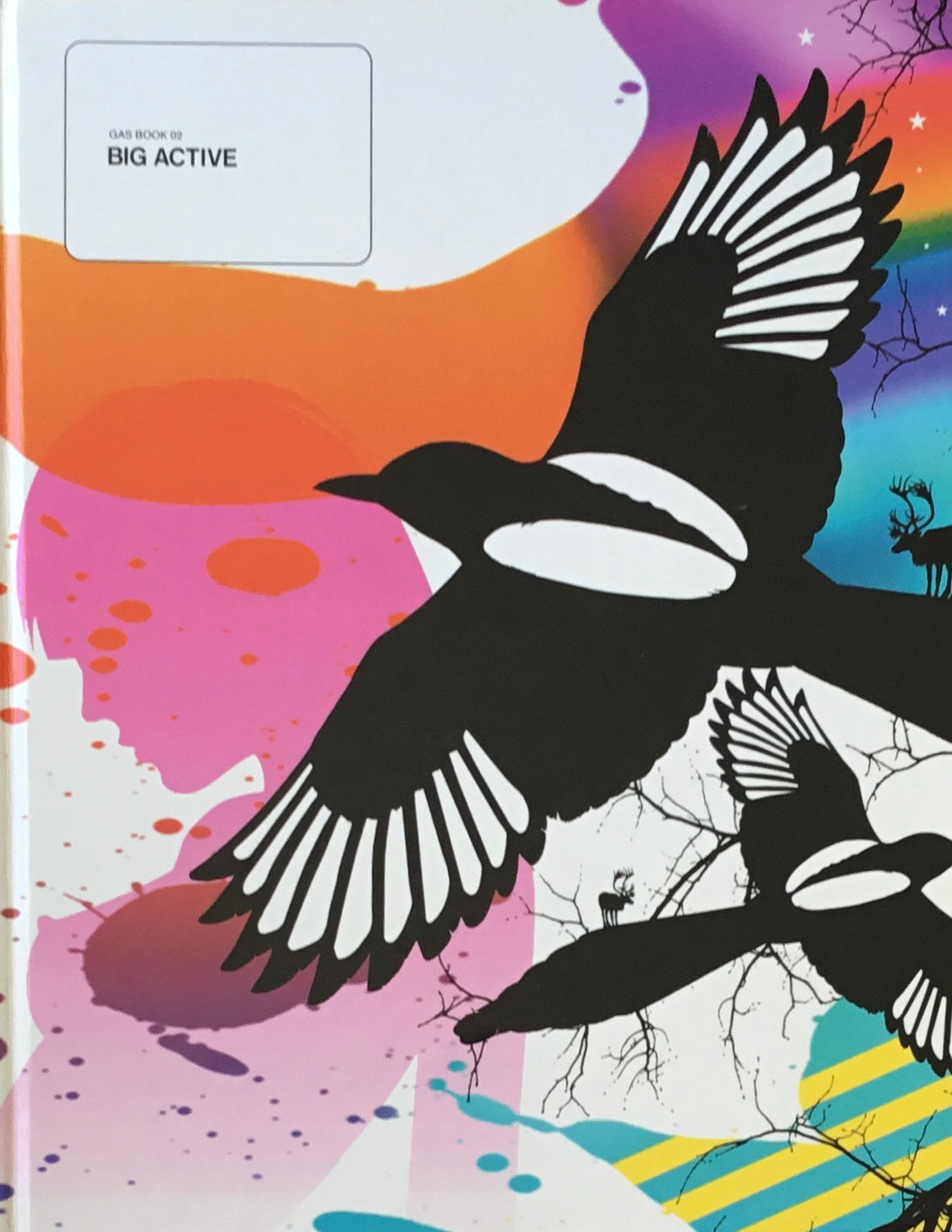 GASBOOK 02 BIG ACTIVE