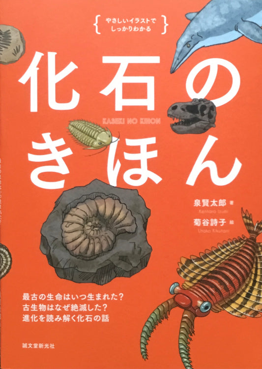 化石のきほん 泉 賢太郎 菊谷 詩子 イラストでわかるきほんシリーズ