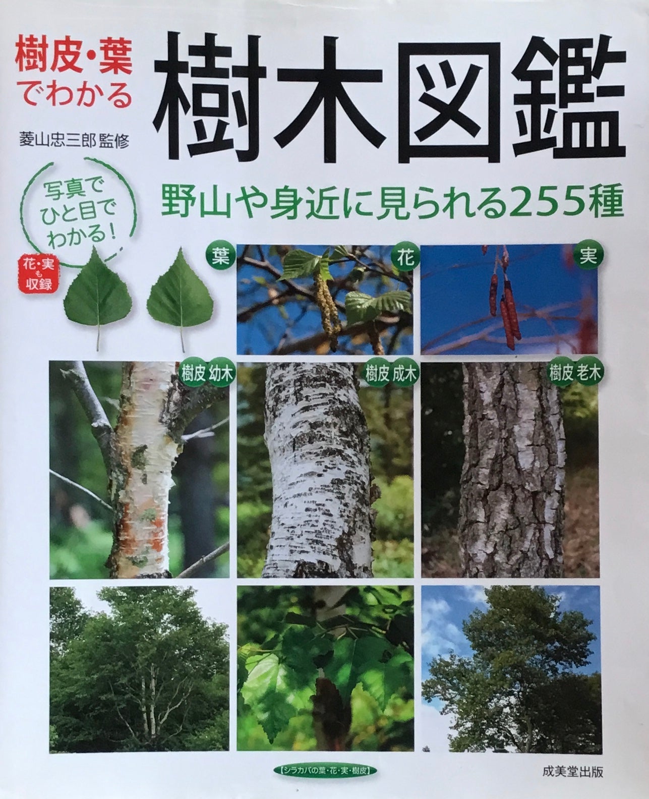 樹皮・葉でわかる 樹木図鑑 菱山忠三郎監修