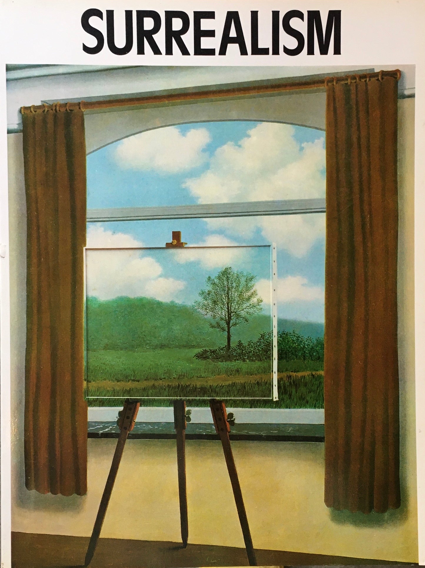SURREALISM Uwe M. Schneede Paperback