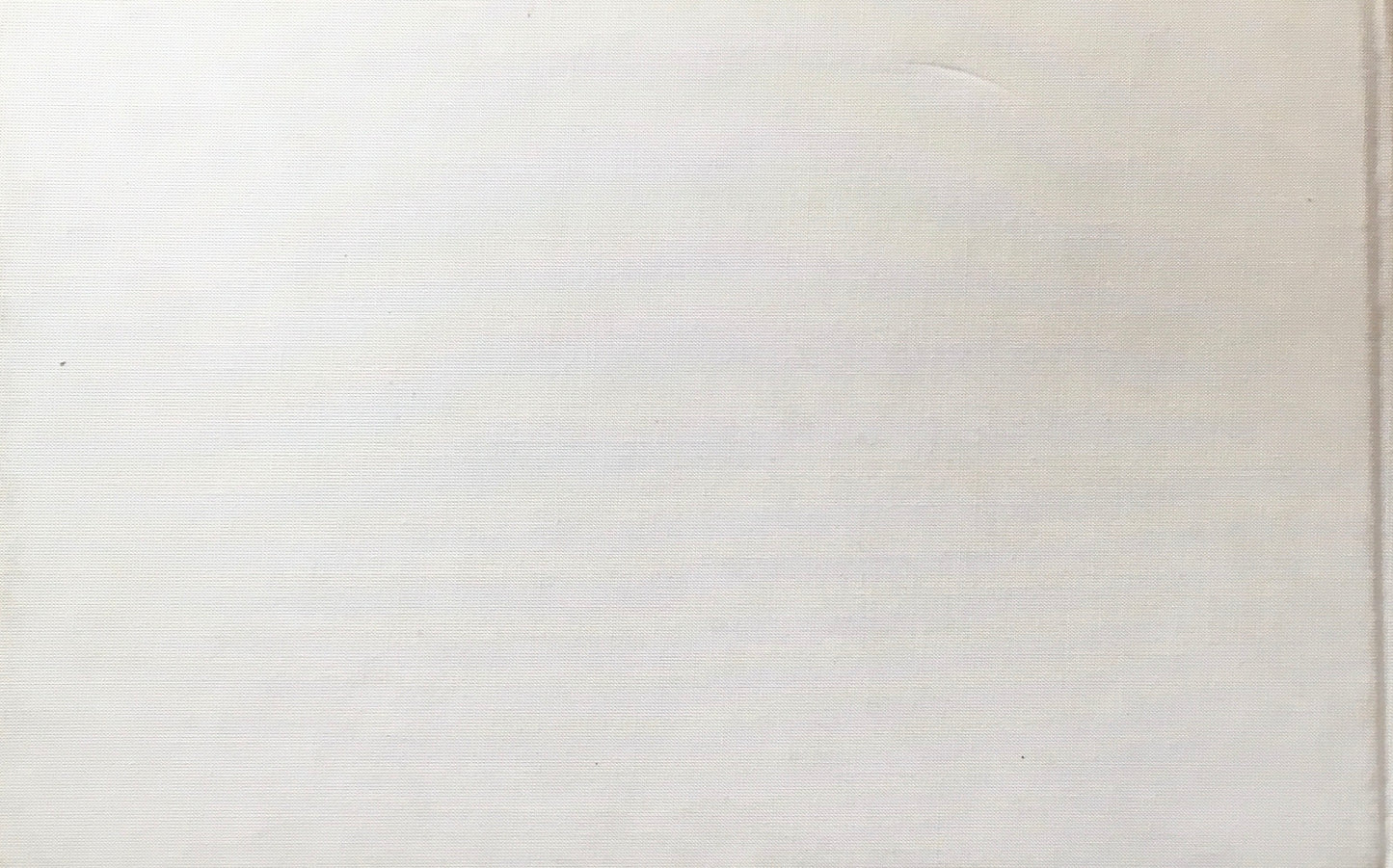 Manfred Willman Die Sieger Arbeiten 1971-1989