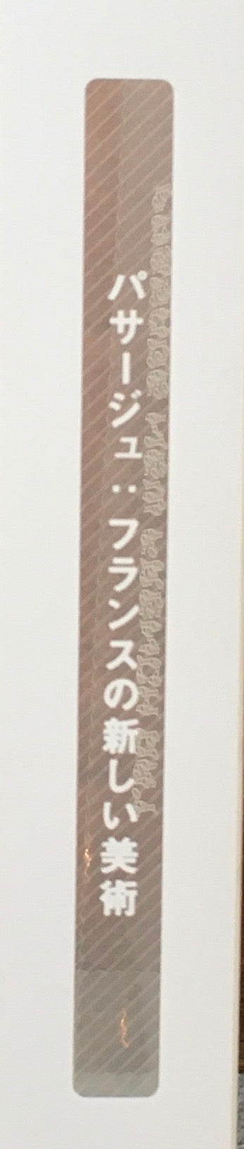 パサージュ:フランスの新しい美術 世田谷美術館