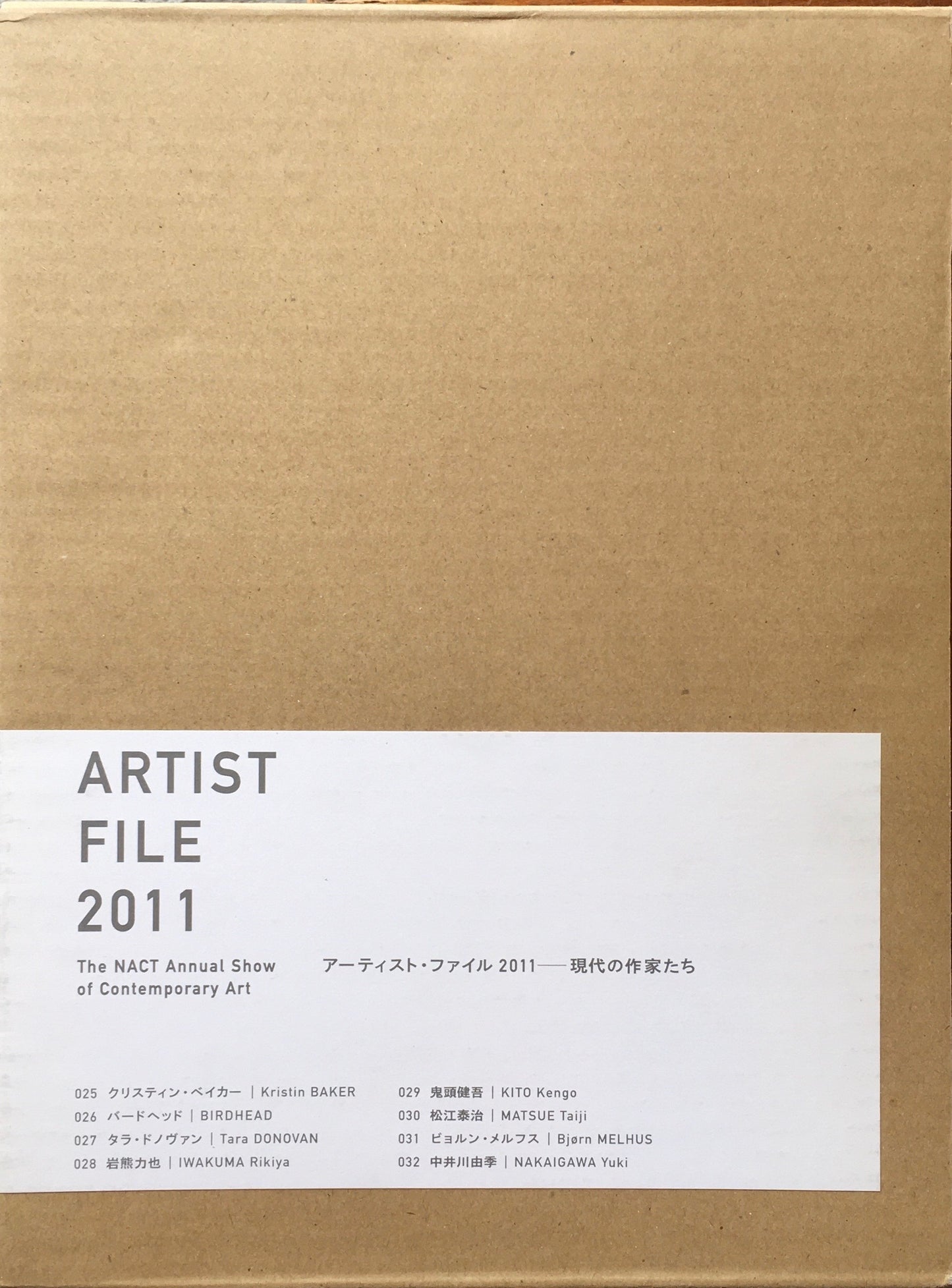 アーティスト・ファイル 2011 現代の作家たち