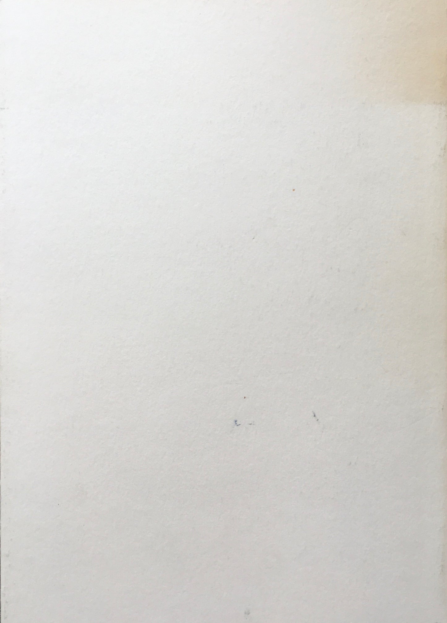 BIENAL DE SAO PAULO,1994 Aki KURODA Toeko TATASUNO Toshikatsu ENDO