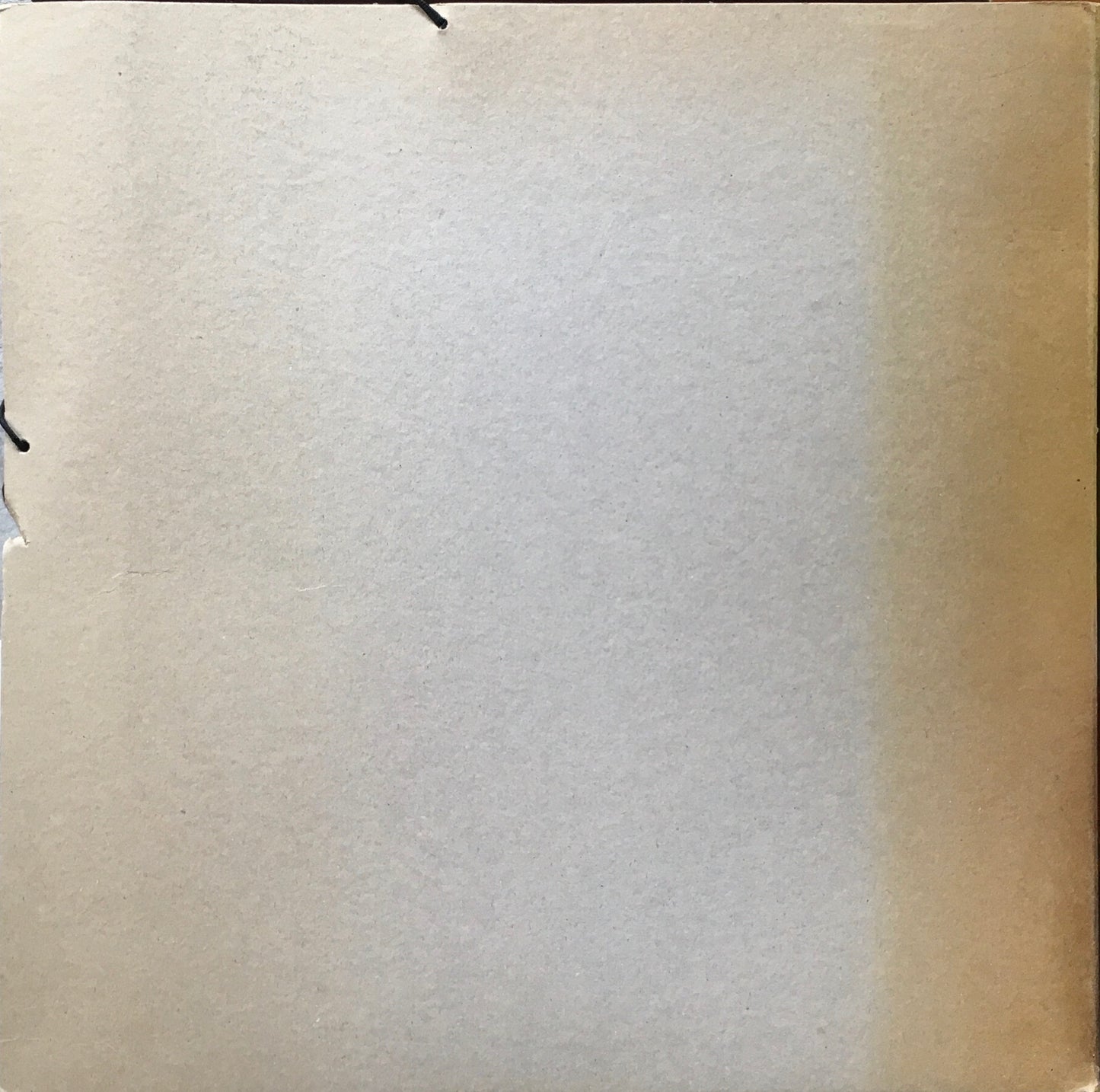 今日の造形精神 プライマル スピリット 原美術館