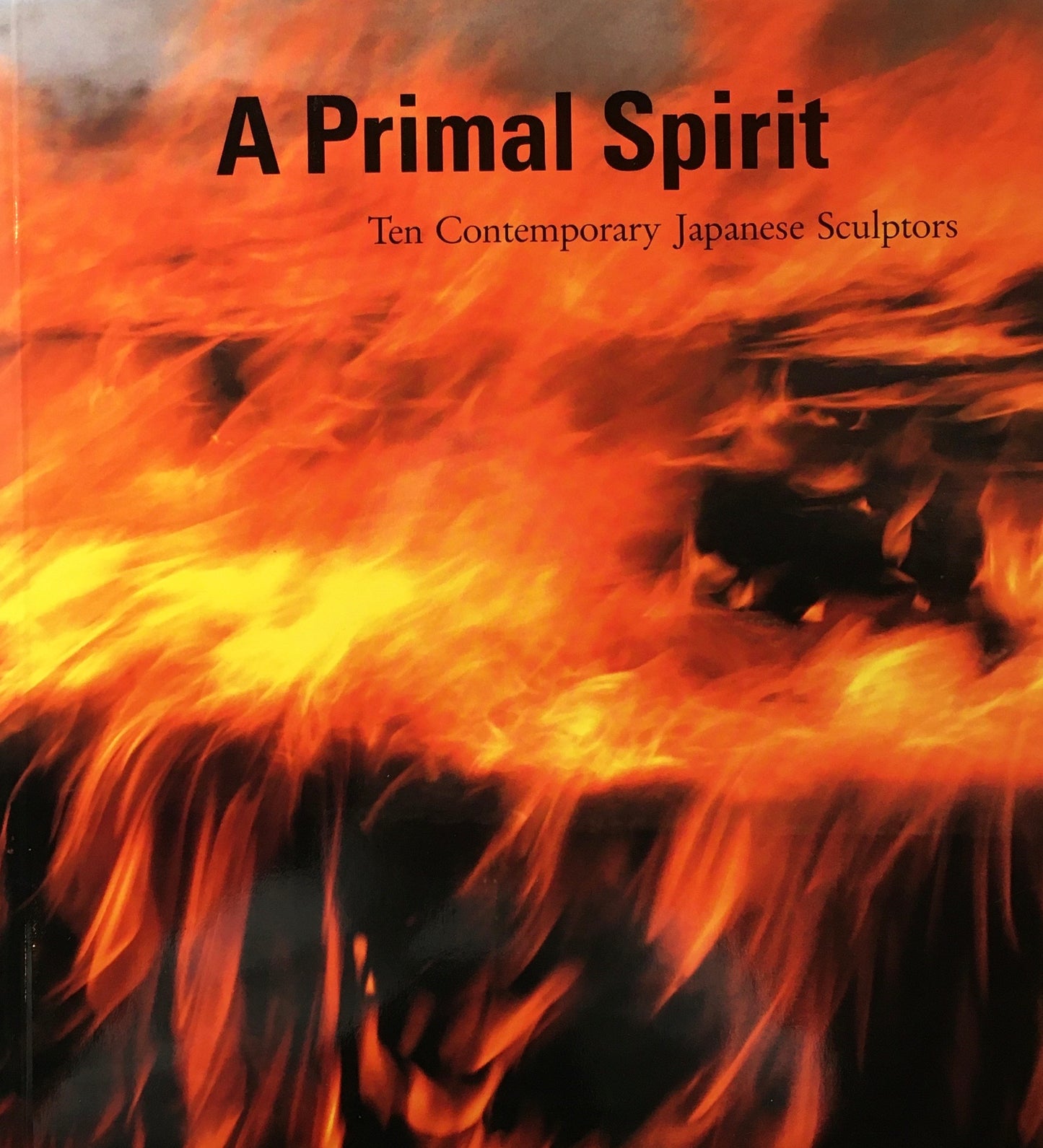 今日の造形精神 プライマル スピリット 原美術館