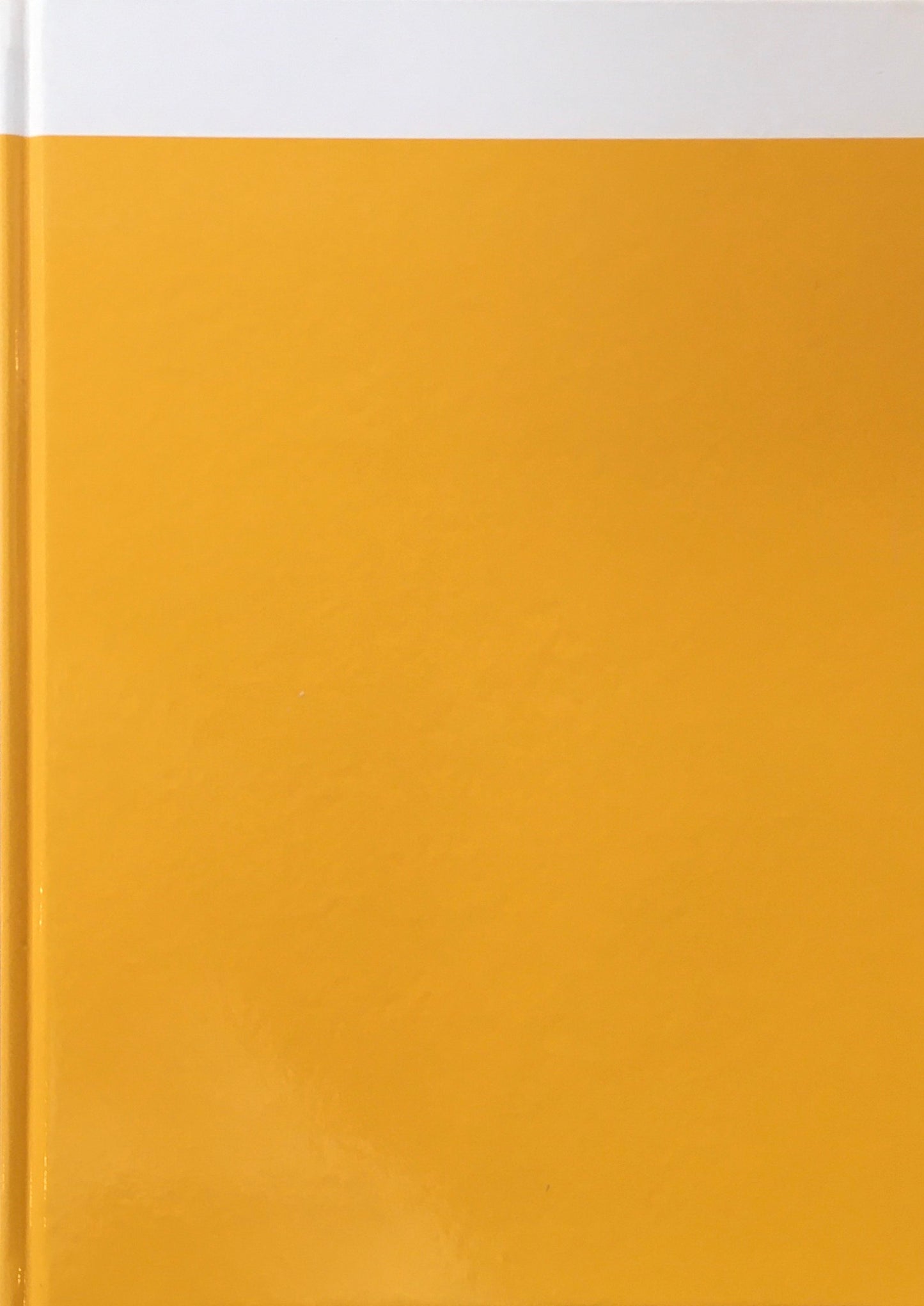 Chiba art now'02 かたちの所以 佐倉市立美術館