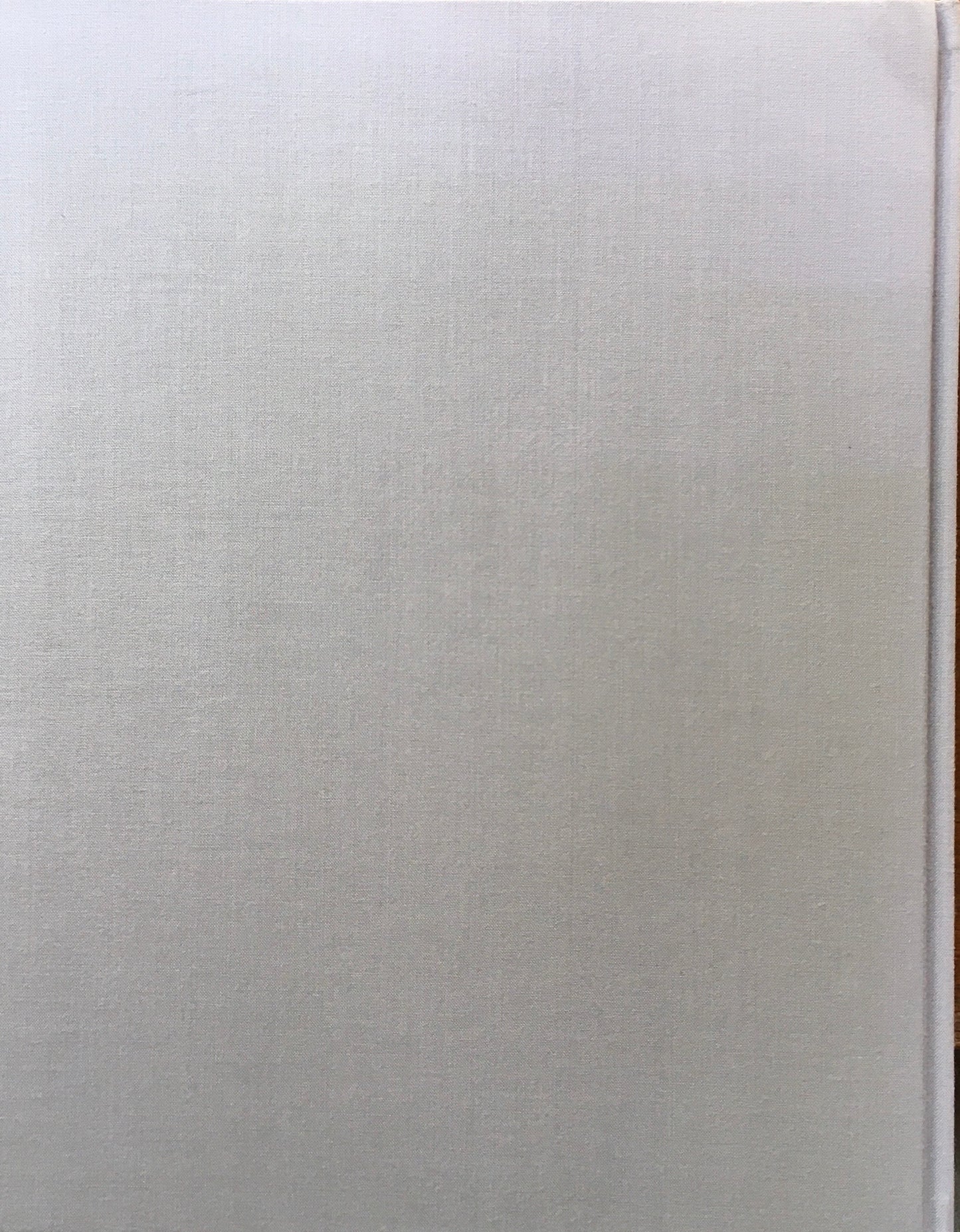 between visible 米田知子