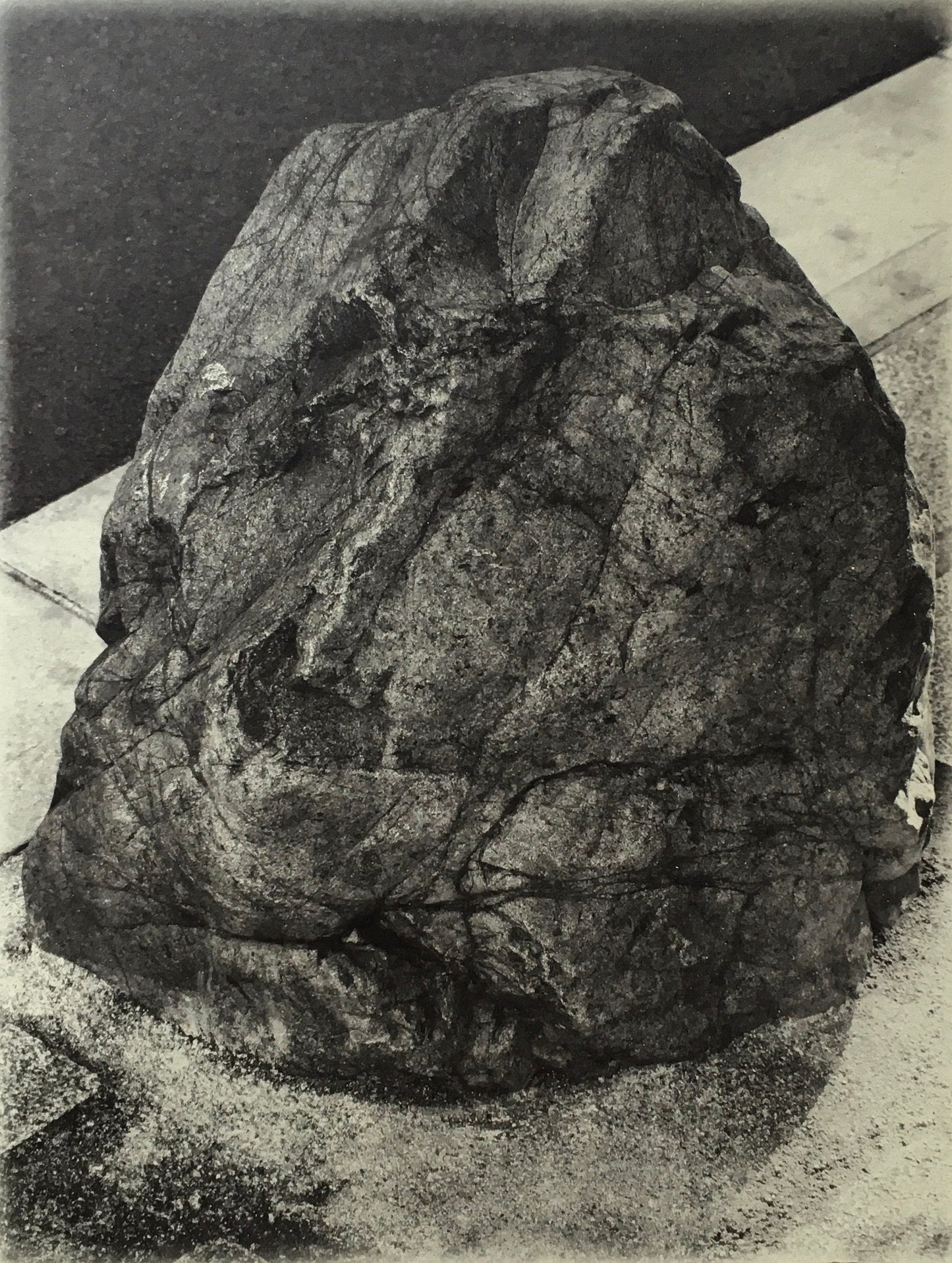 Petra Noordkamp Better not Move