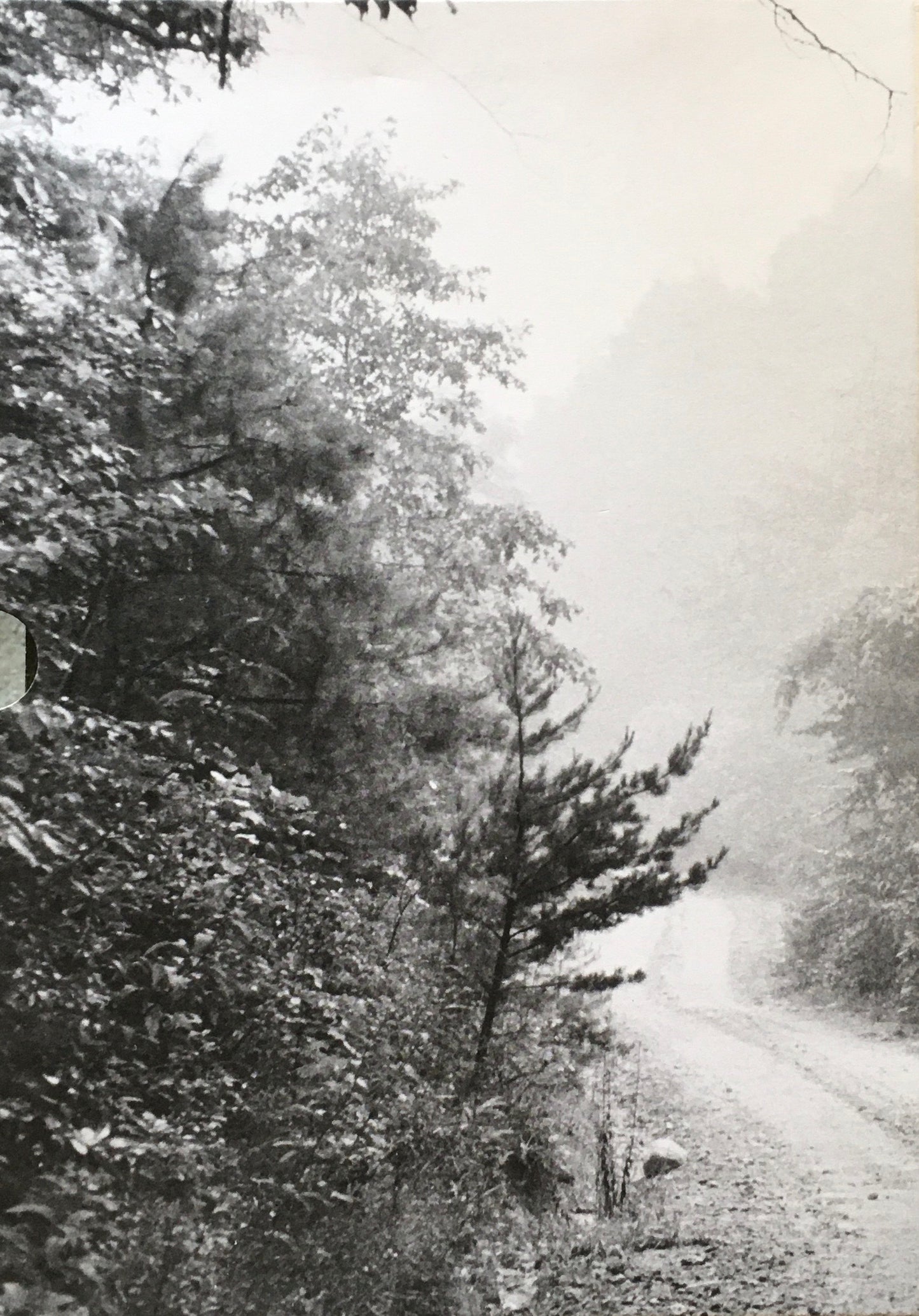 IRIS GARDEN John cage, William Gedney 限定1000部