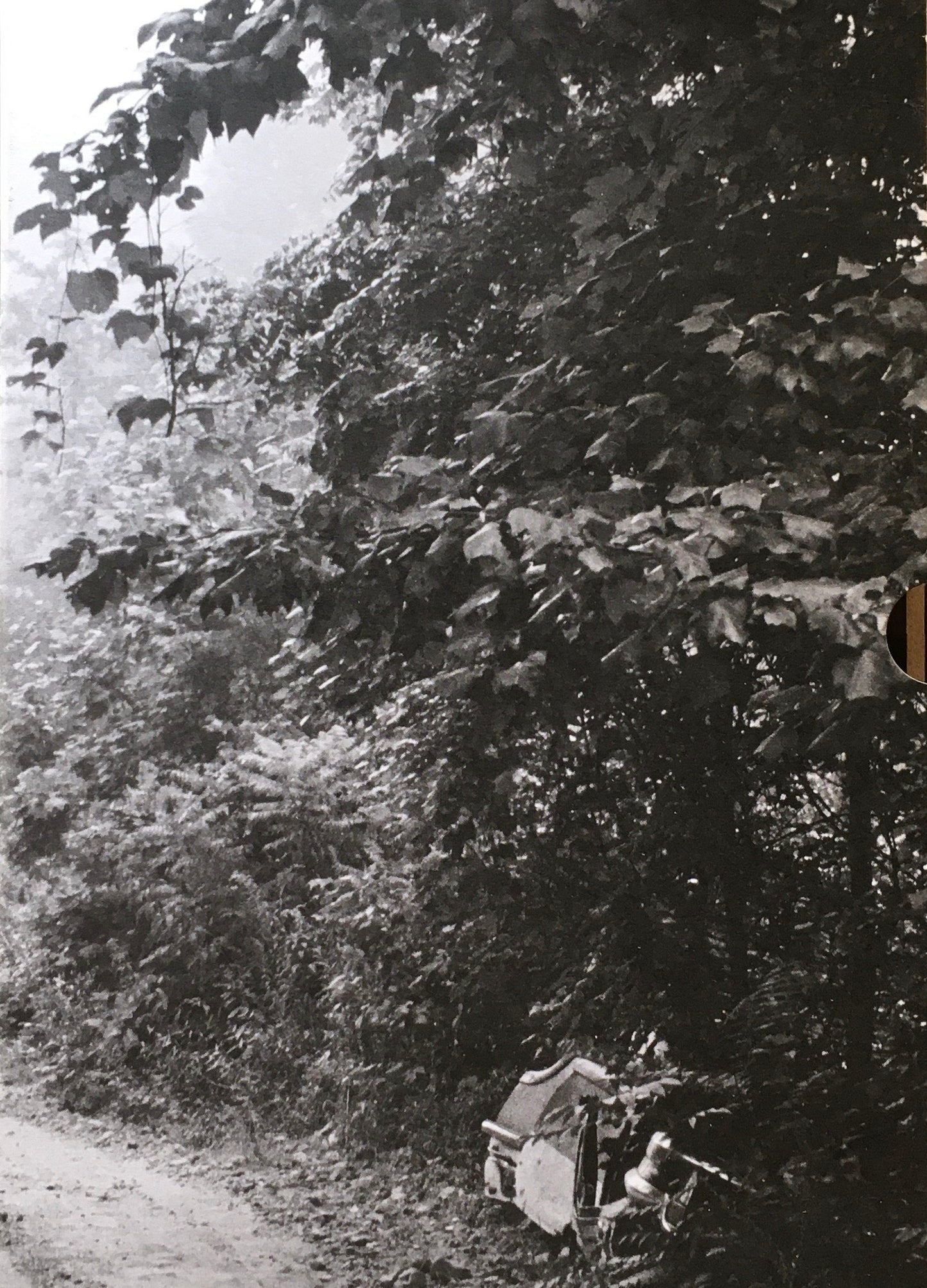 IRIS GARDEN John cage, William Gedney 限定1000部