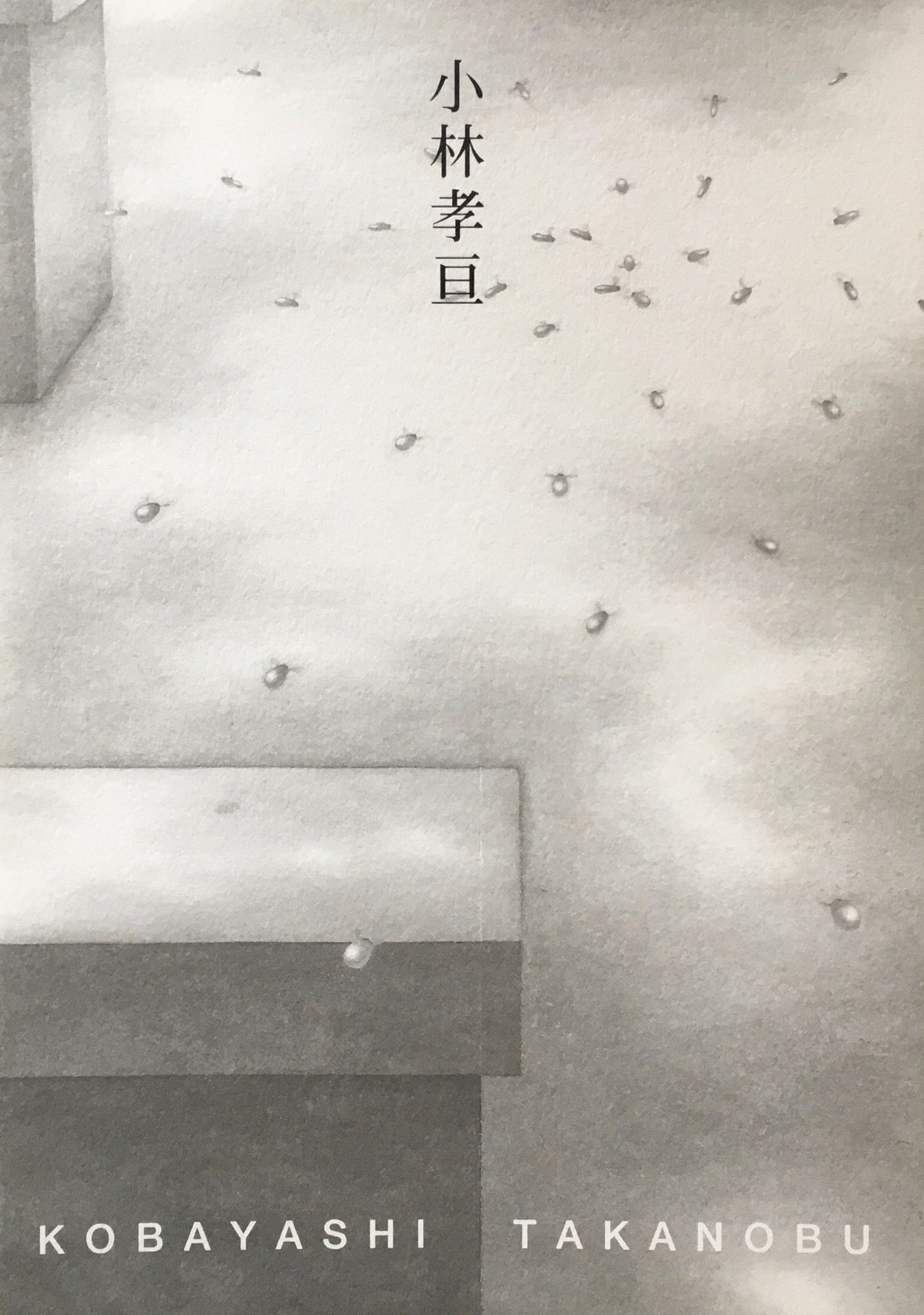 小林孝亘 1996 西村画廊