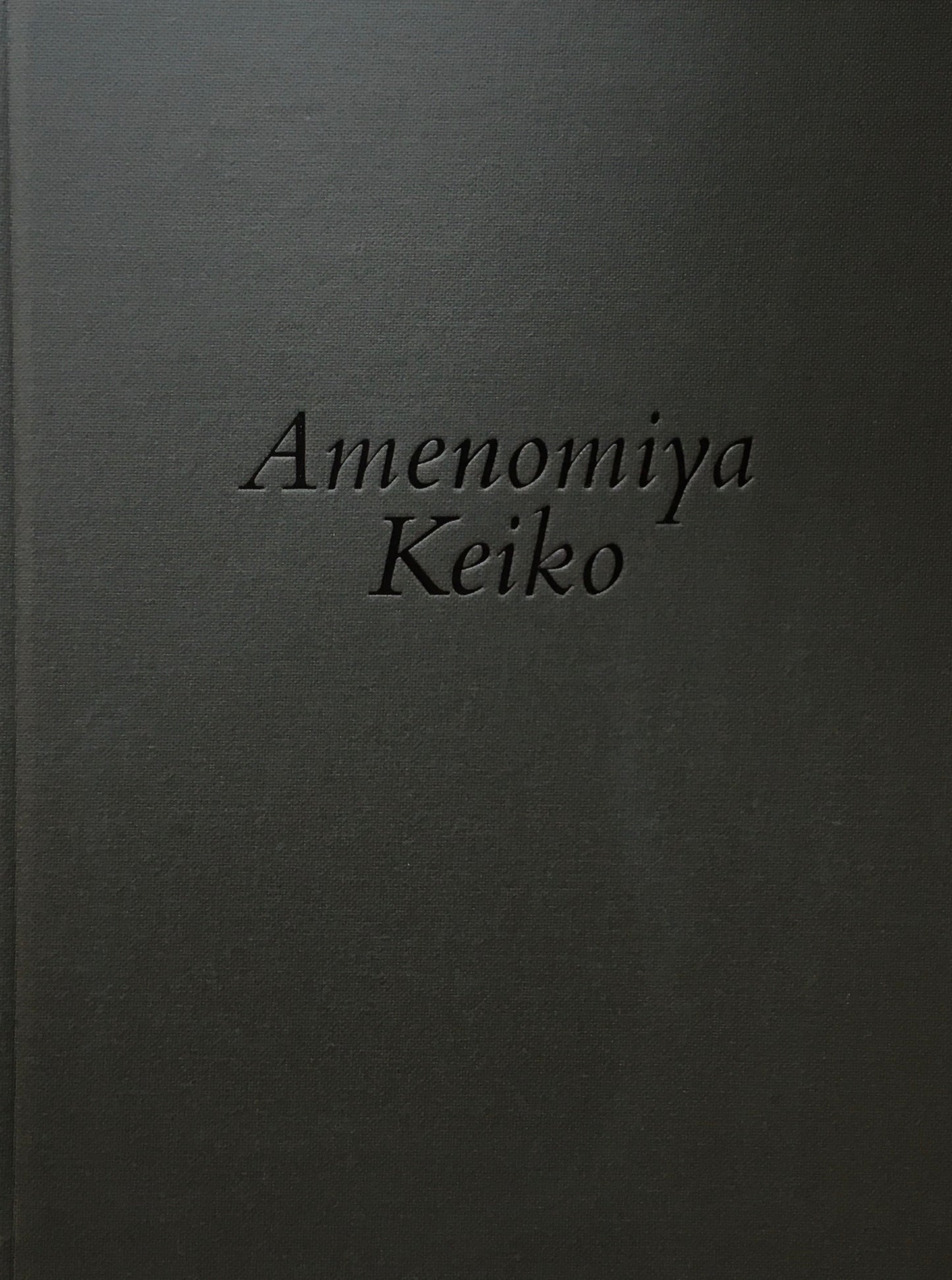 雨宮敬子作品集 2005