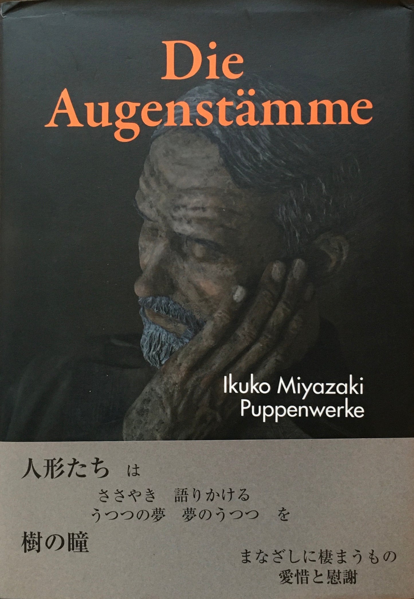 樹の瞳 宮崎郁子作品集