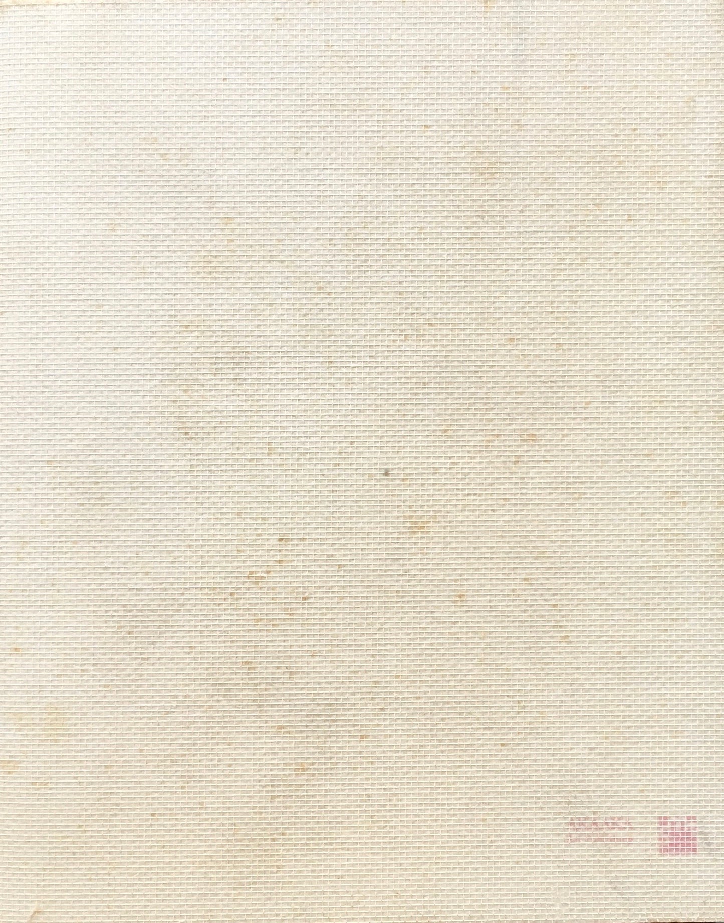 螺旋海岸 notebook 志賀理江子