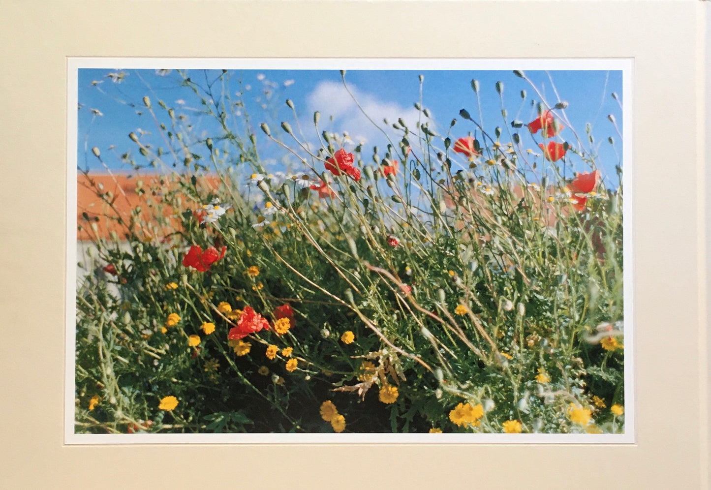 TOWN 市橋織江 写真集