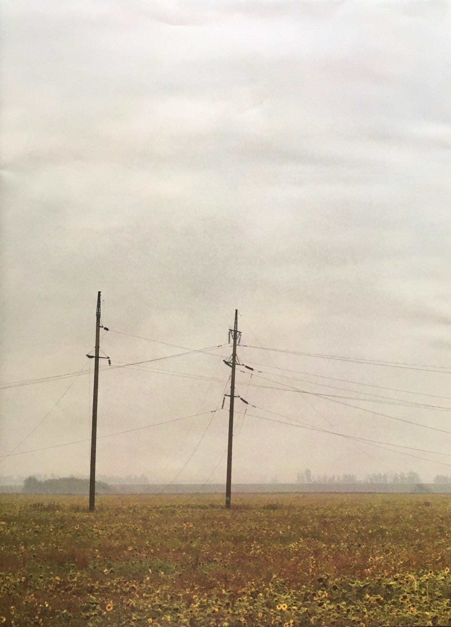 Notes in Ukraine 児玉浩宜