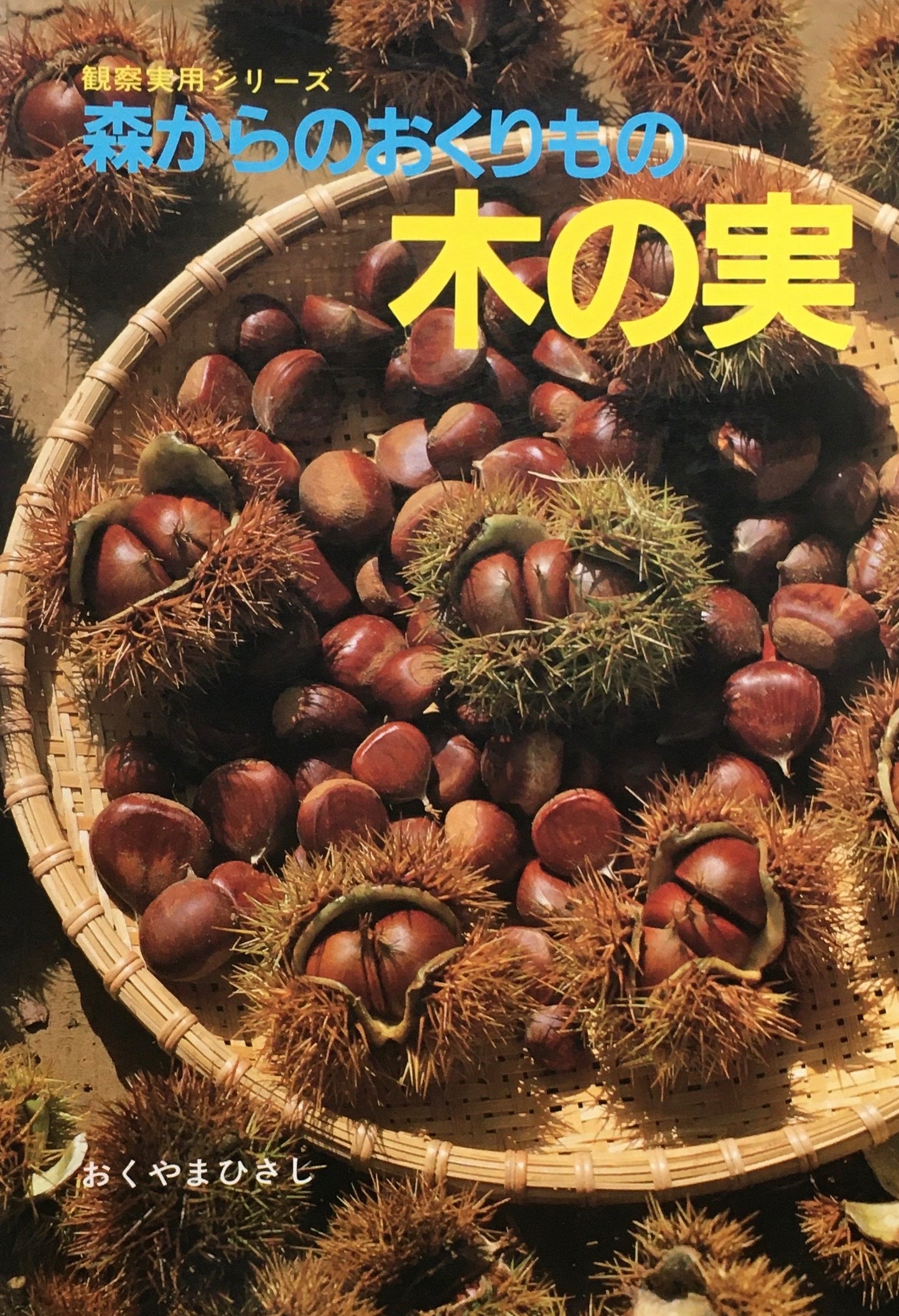 森からのおくりもの 木の実 おくやまひさし