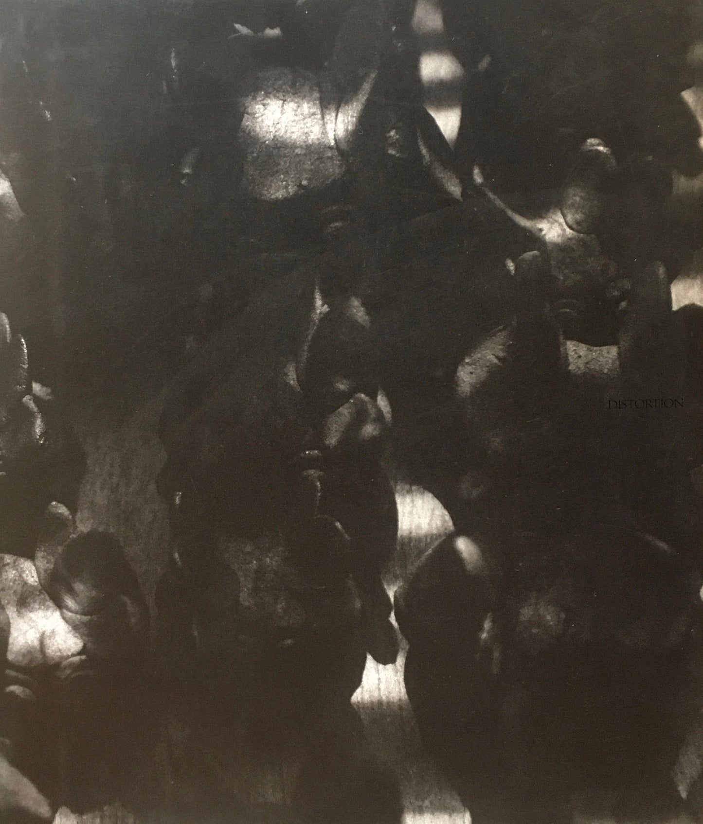 DISTORTION ロブ・ワルバース 笠谷圭見