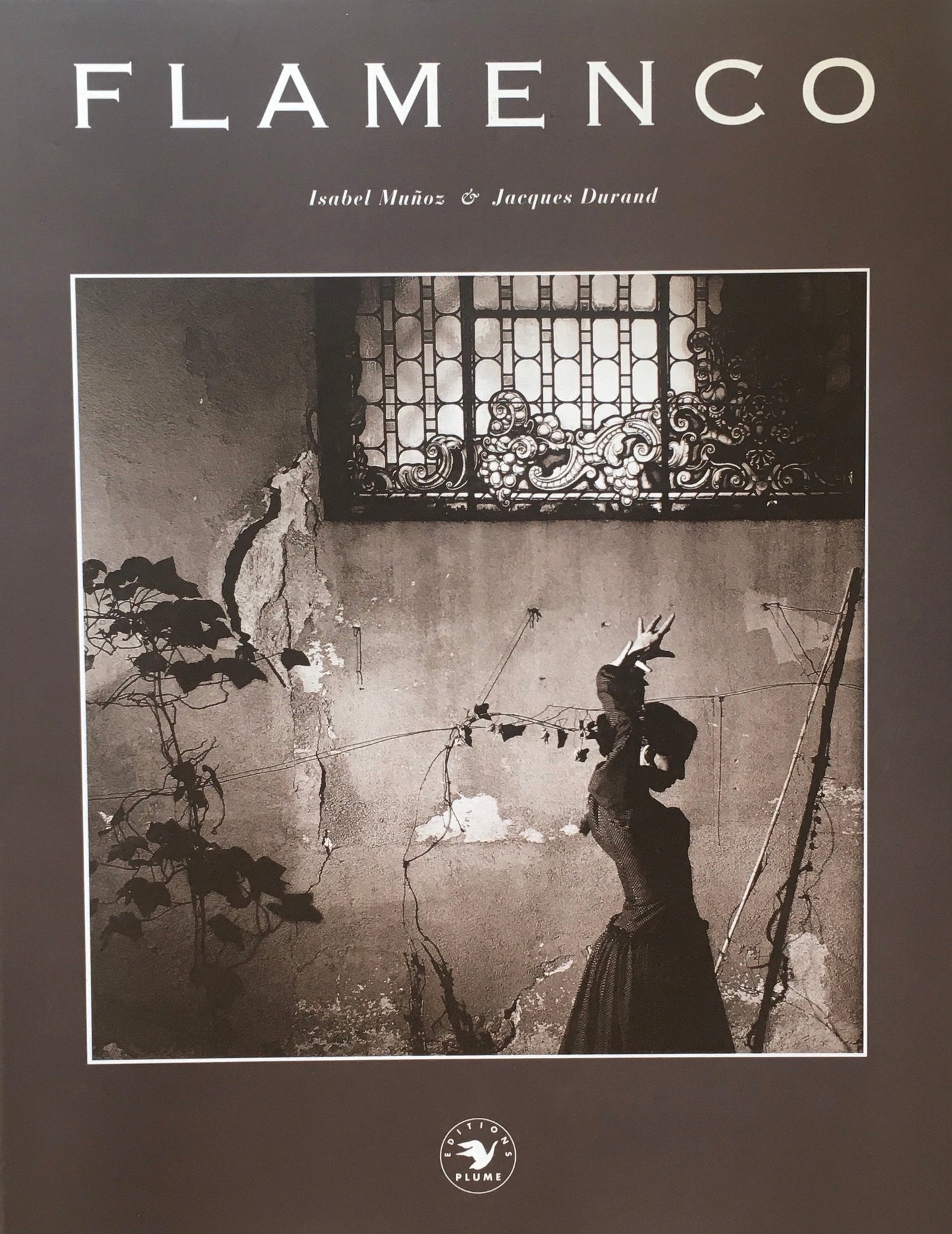 Flamenco Isabel Munoz