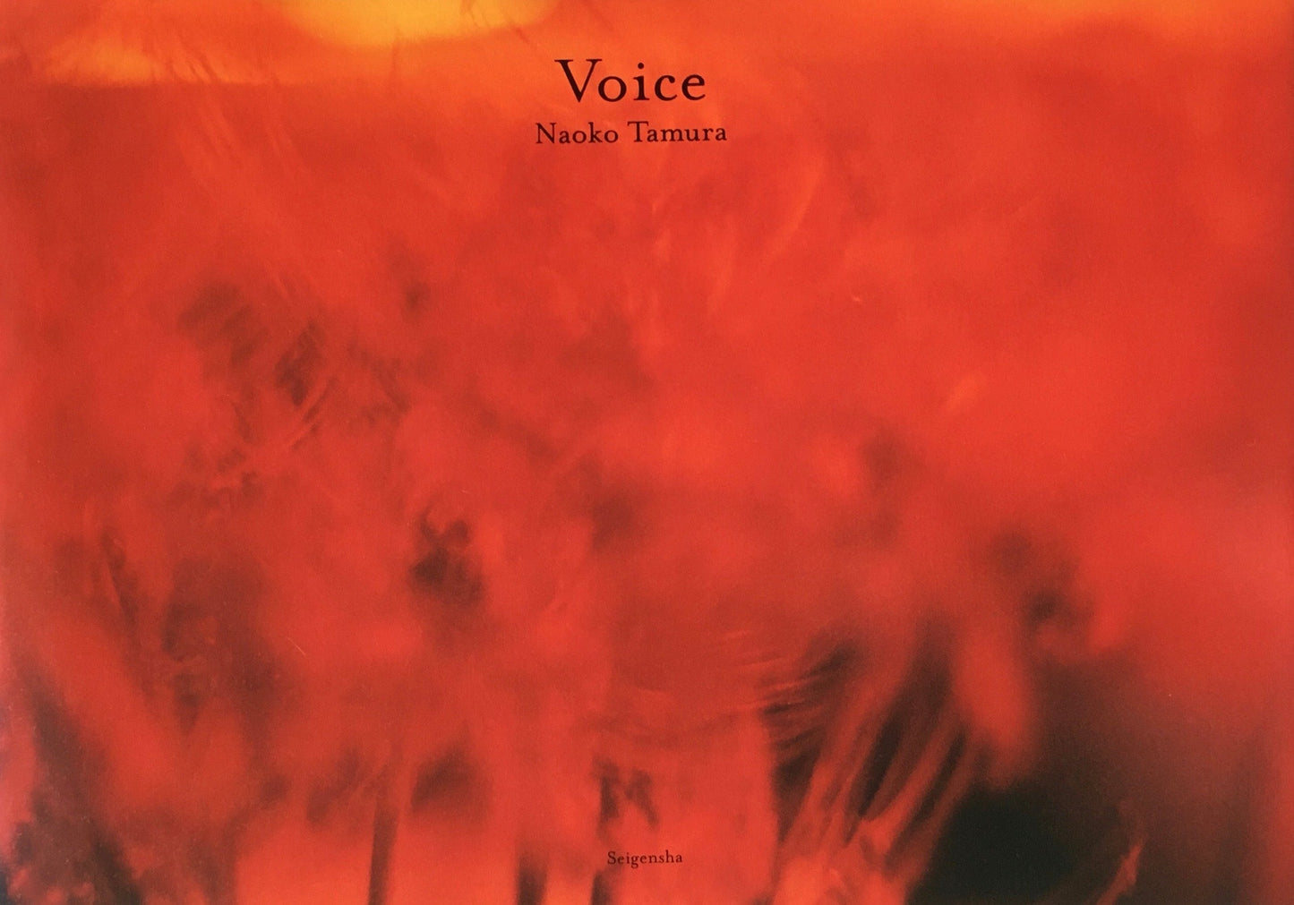 Voice 田村尚子