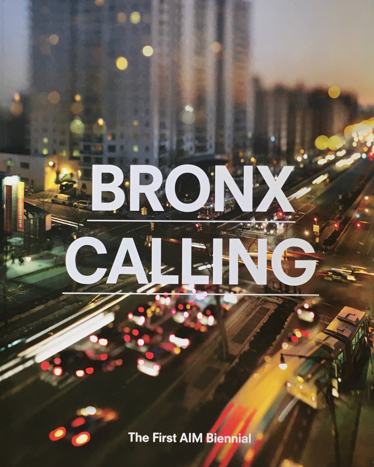 BRONX CALLING THE AIM FIFTH BIENNIAL