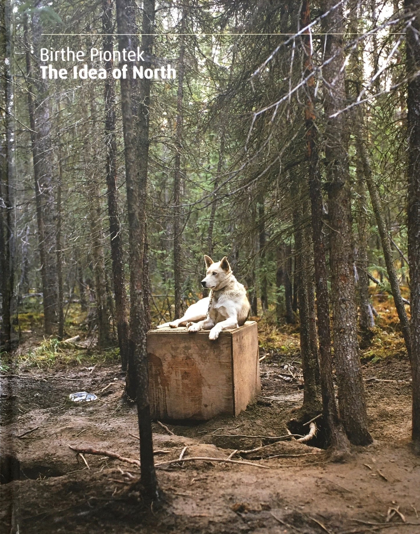 Birthe Piontek The Idea of North