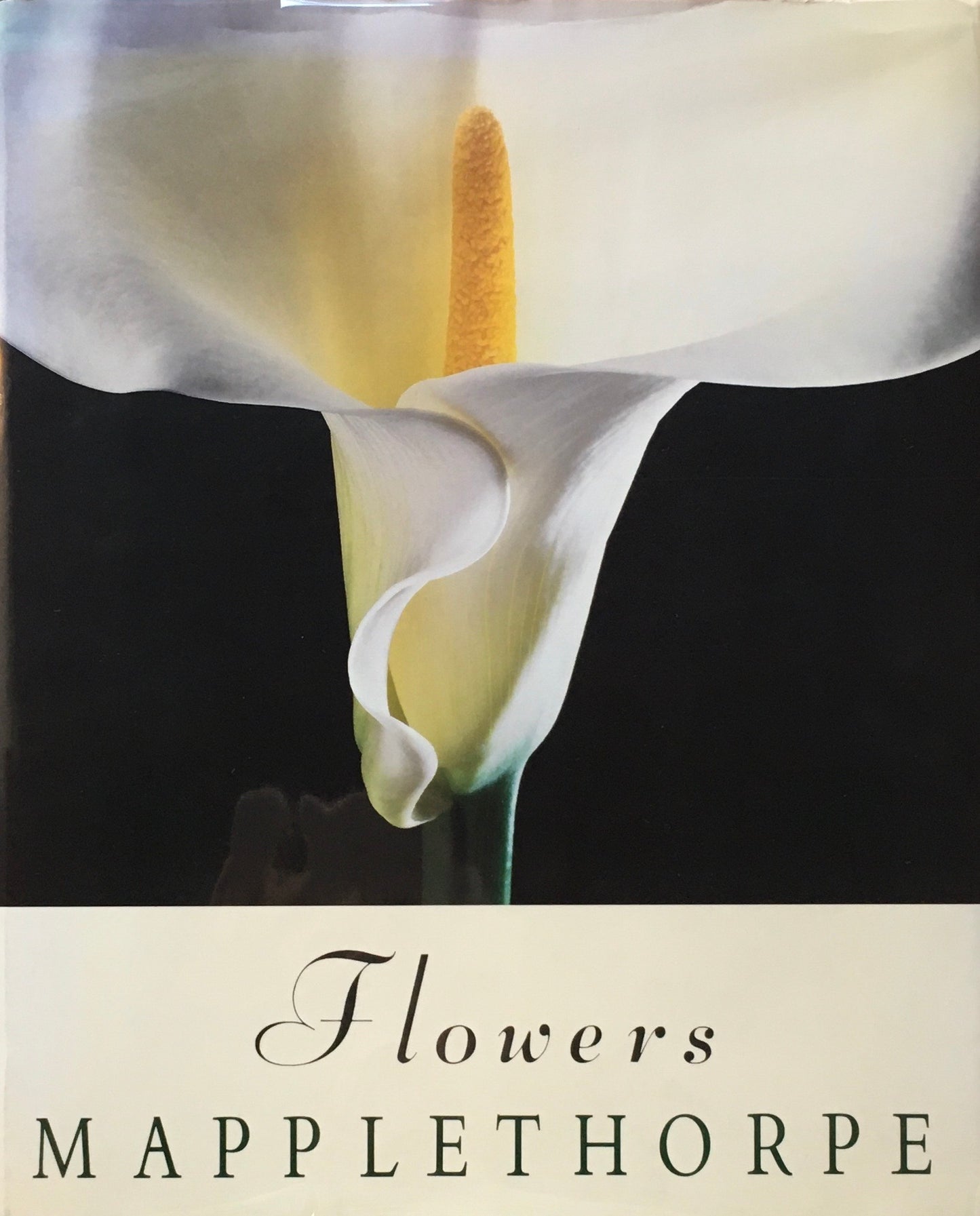 Flowers Robert Mapplethorpe First Edition ロバート・メイプルソープ