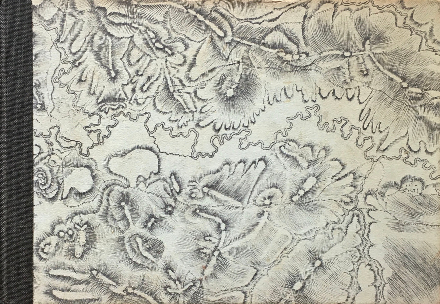 A Naturalist in Russia Letters from Peter Simon Pallas to Thomas Pennant Urness