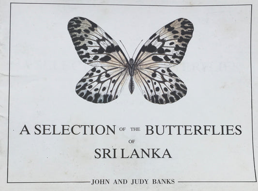 A SELECTION OF THE BUTTERFLIES SRI LANKA JOHN AND JUDY BANKS