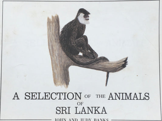 A SELECTION OF THE ANIMALS SRI LANKA JOHN AND JUDY BANKS