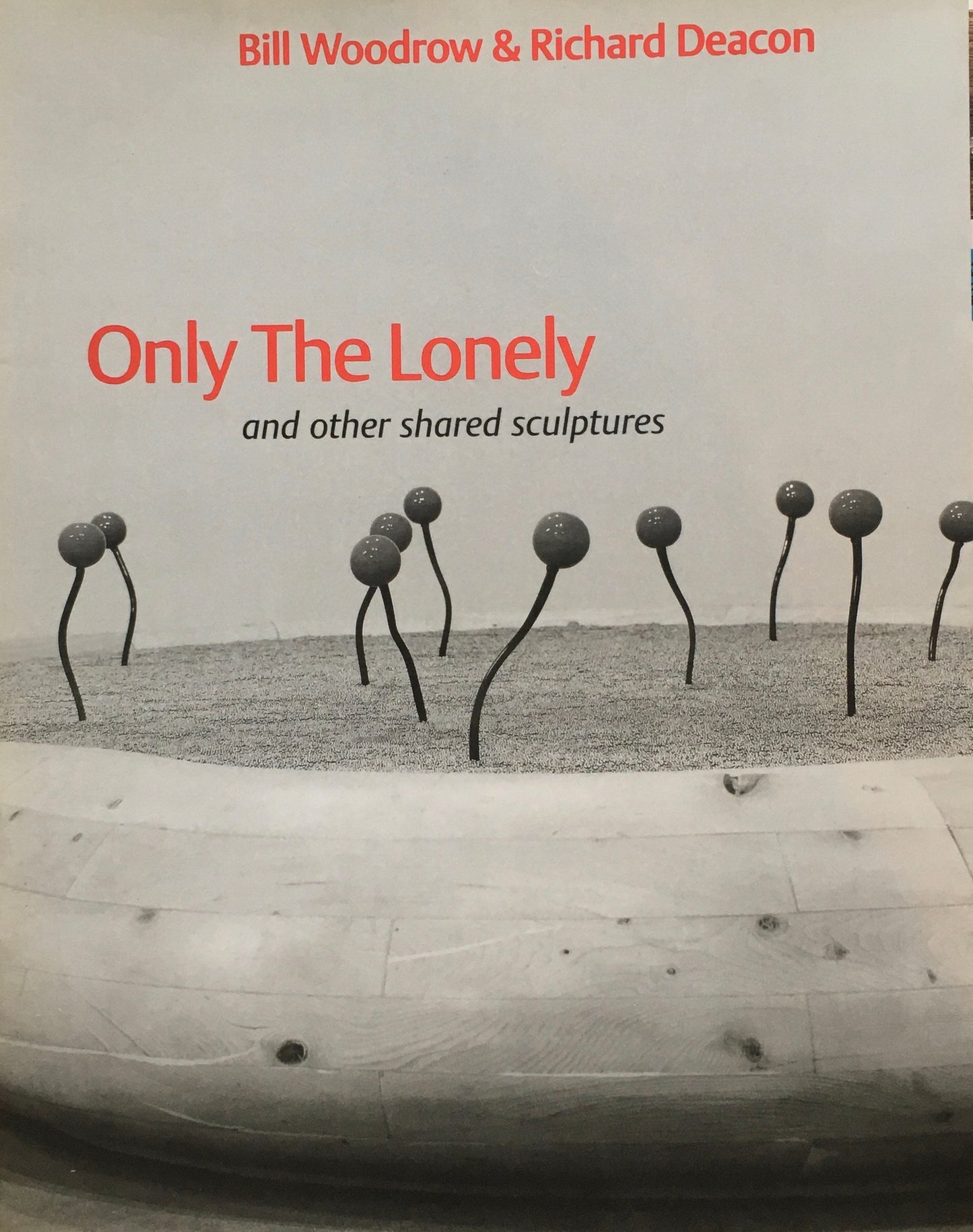 Only The Lonely and other shared sculptures Bill Woodrow&Richard Deacon
