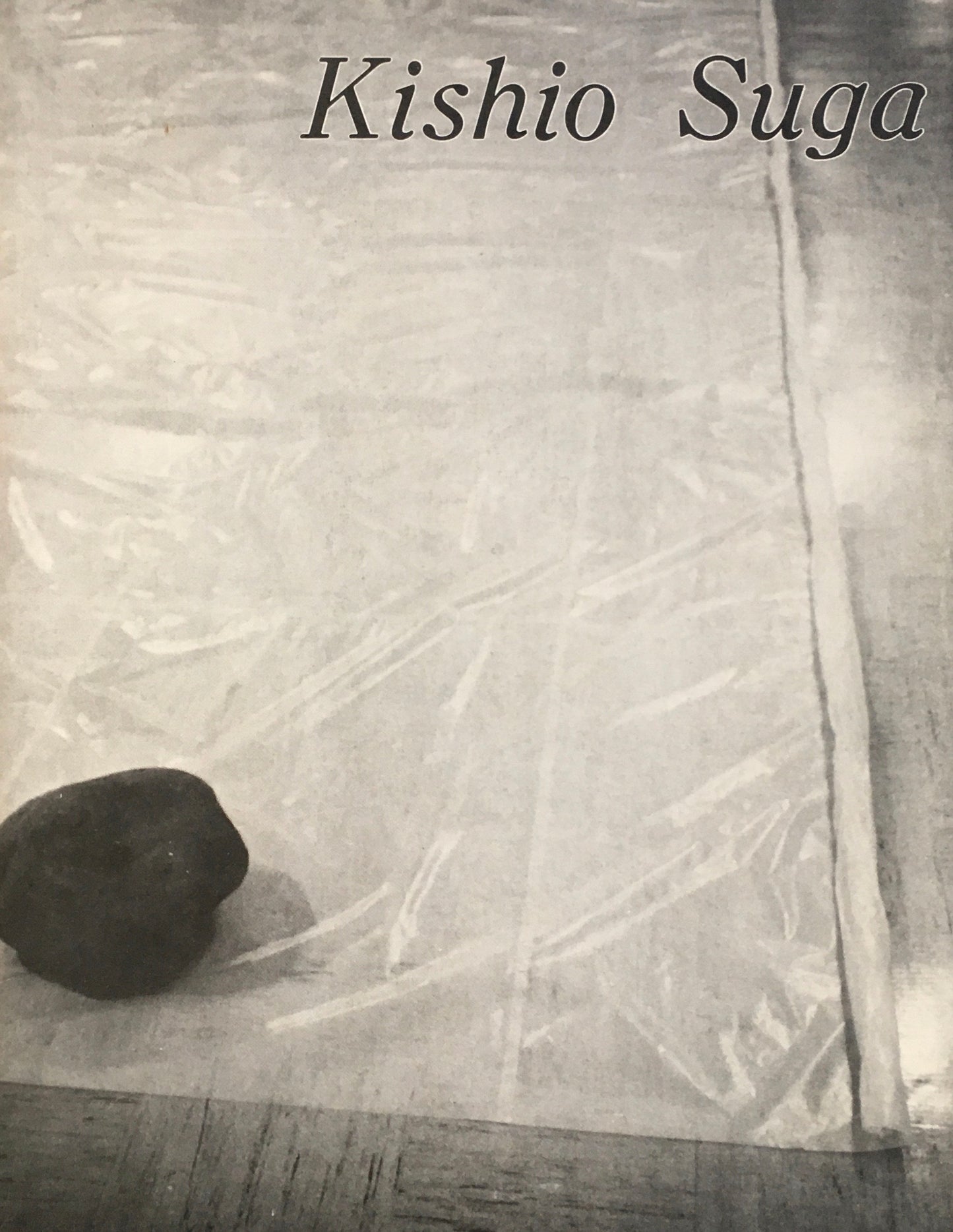 Kishio Suga 1980 菅木志雄 かねこ・あーとギャラリー