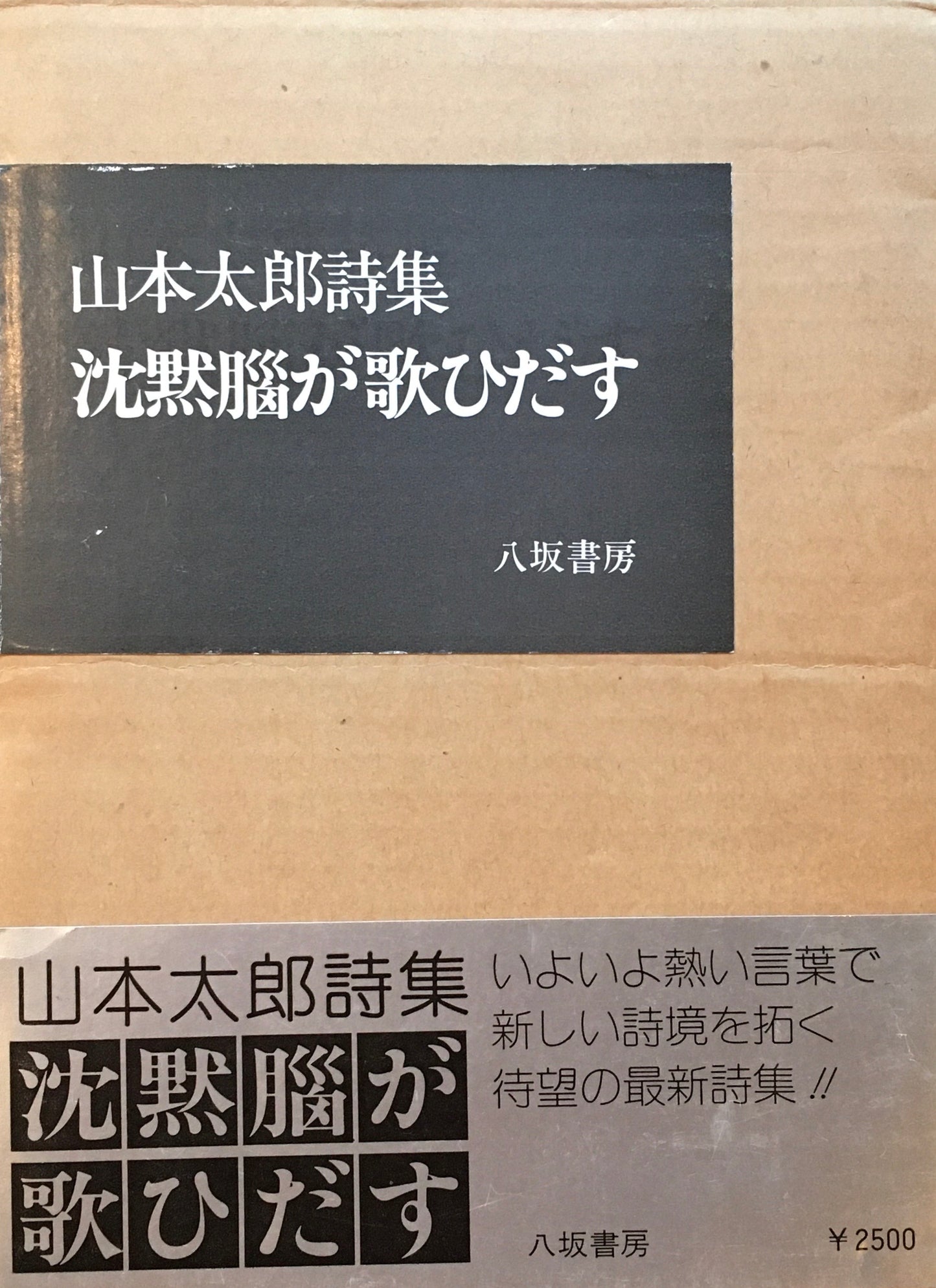 沈黙脳が歌ひだす 山本太郎詩集