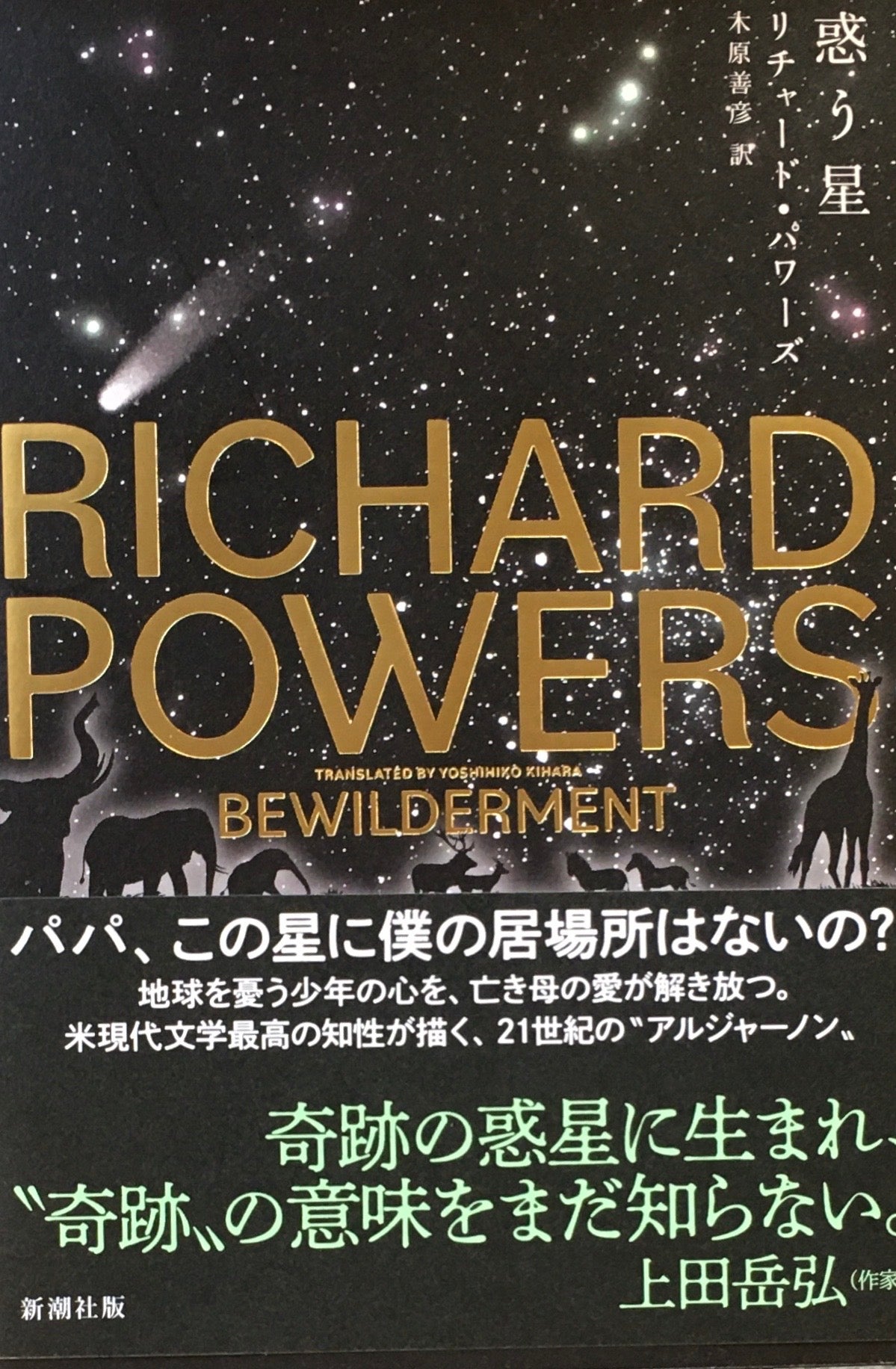 惑う星 リチャード・パワーズ
