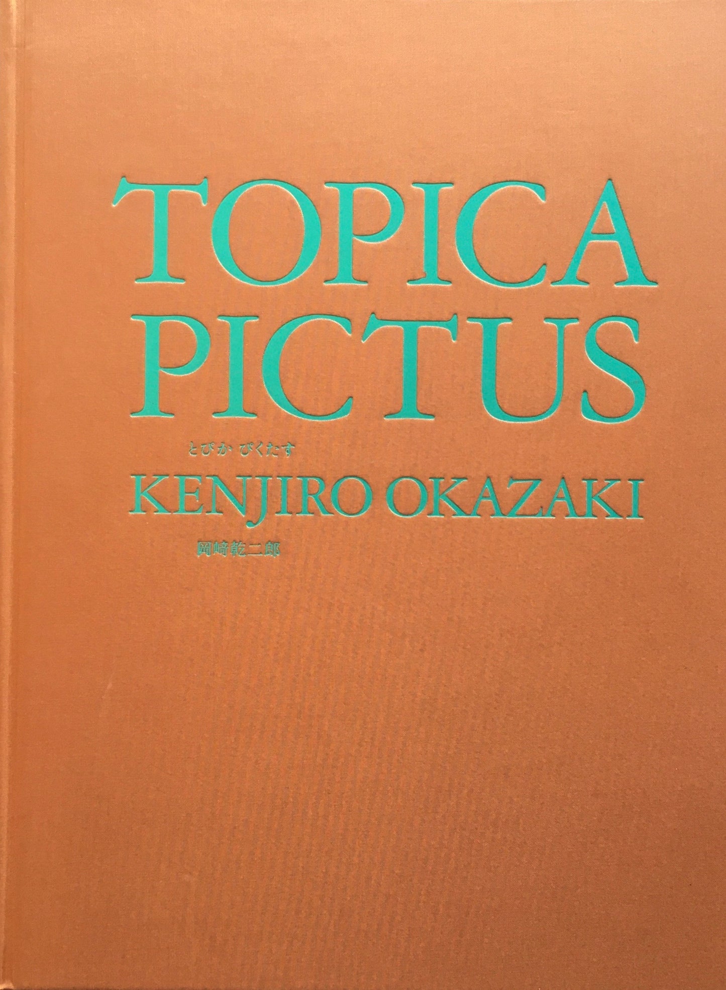 TOPICA PICTUS とぴか ぴくたす 岡崎乾二郎