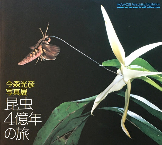 昆虫4億年の旅 今森光彦写真展