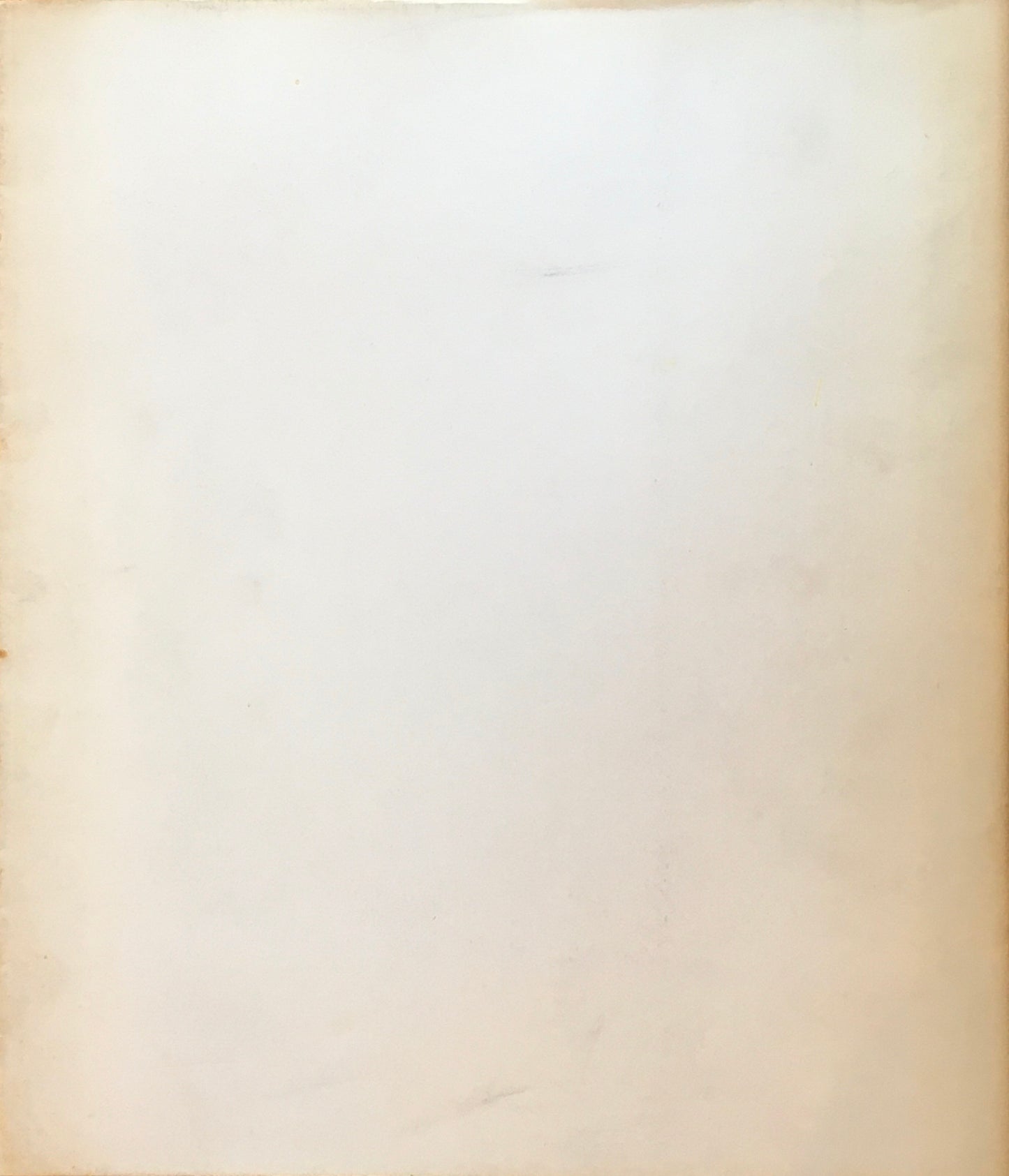 若林奮 AKIRA IKEDA GALLERY 1992