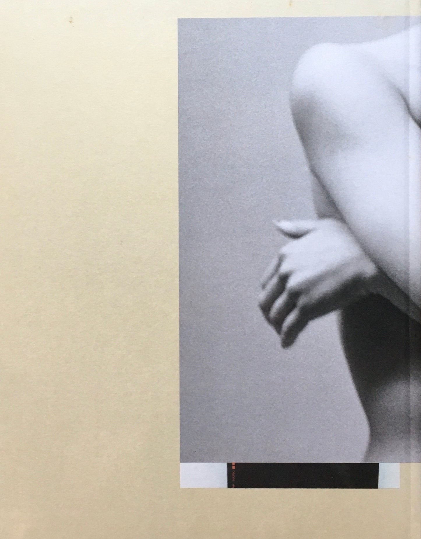 8 WOMEN Collier Schorr コリエ・ショア