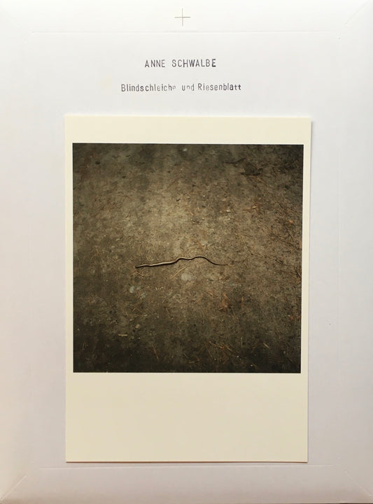 ANNE SCHWALBE Blindschleiche und Riesenblatt 5Edition 2013 限定1000部 署名入